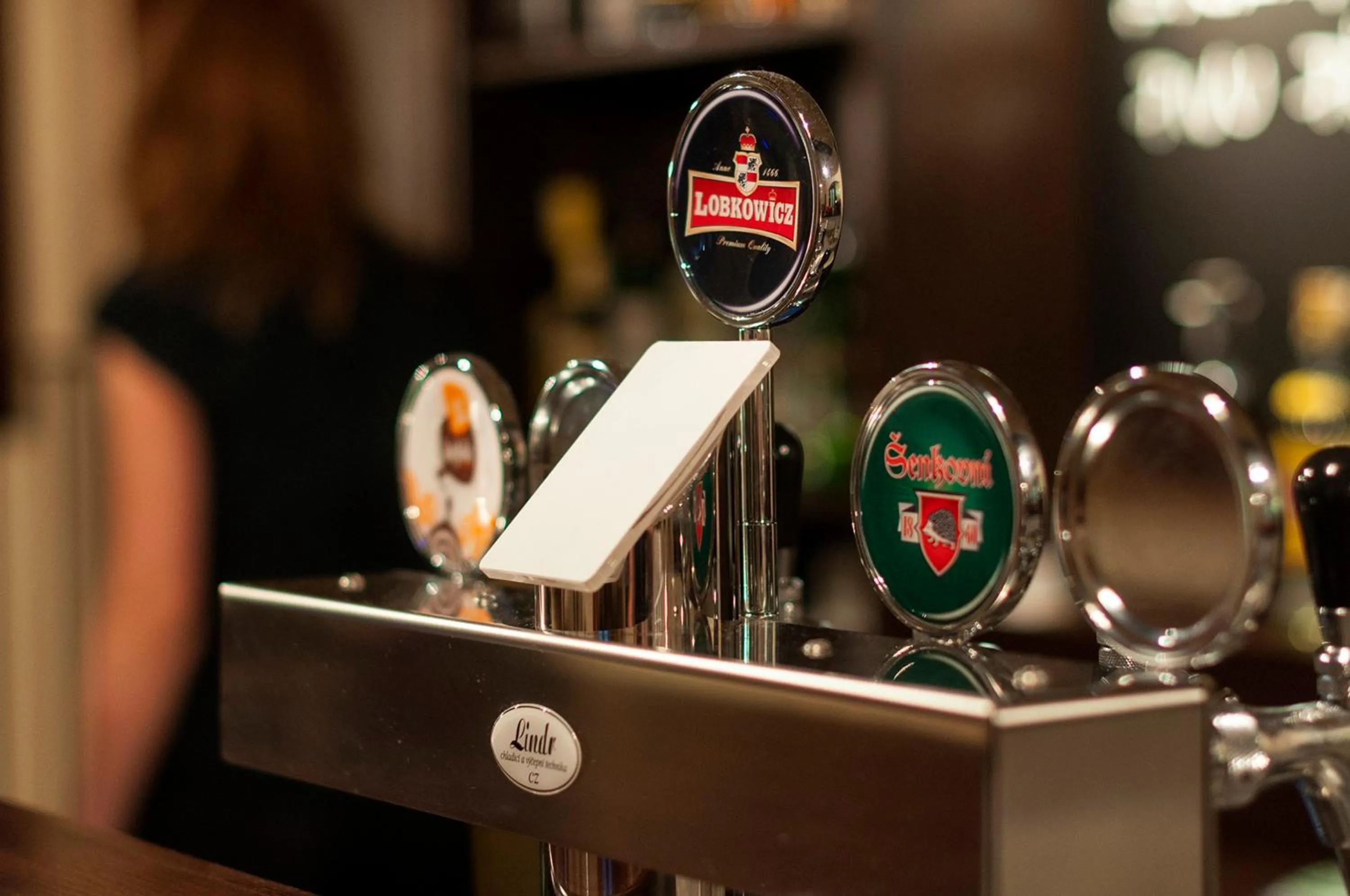 Restaurant/places to eat in Penzión Wellness & Restaurant Zoborská, free parking