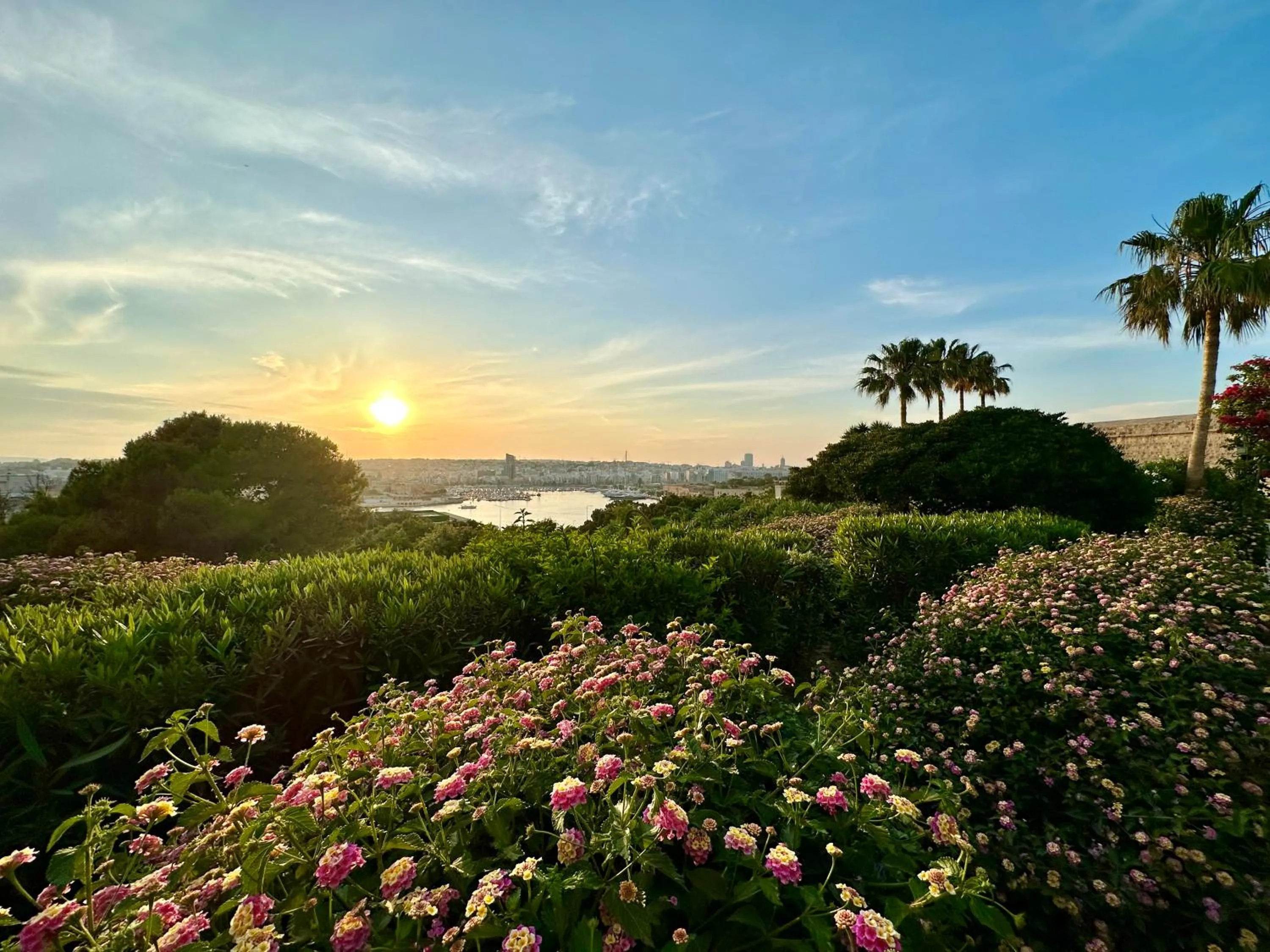 Garden in The Phoenicia Malta - The Leading Hotels of the World