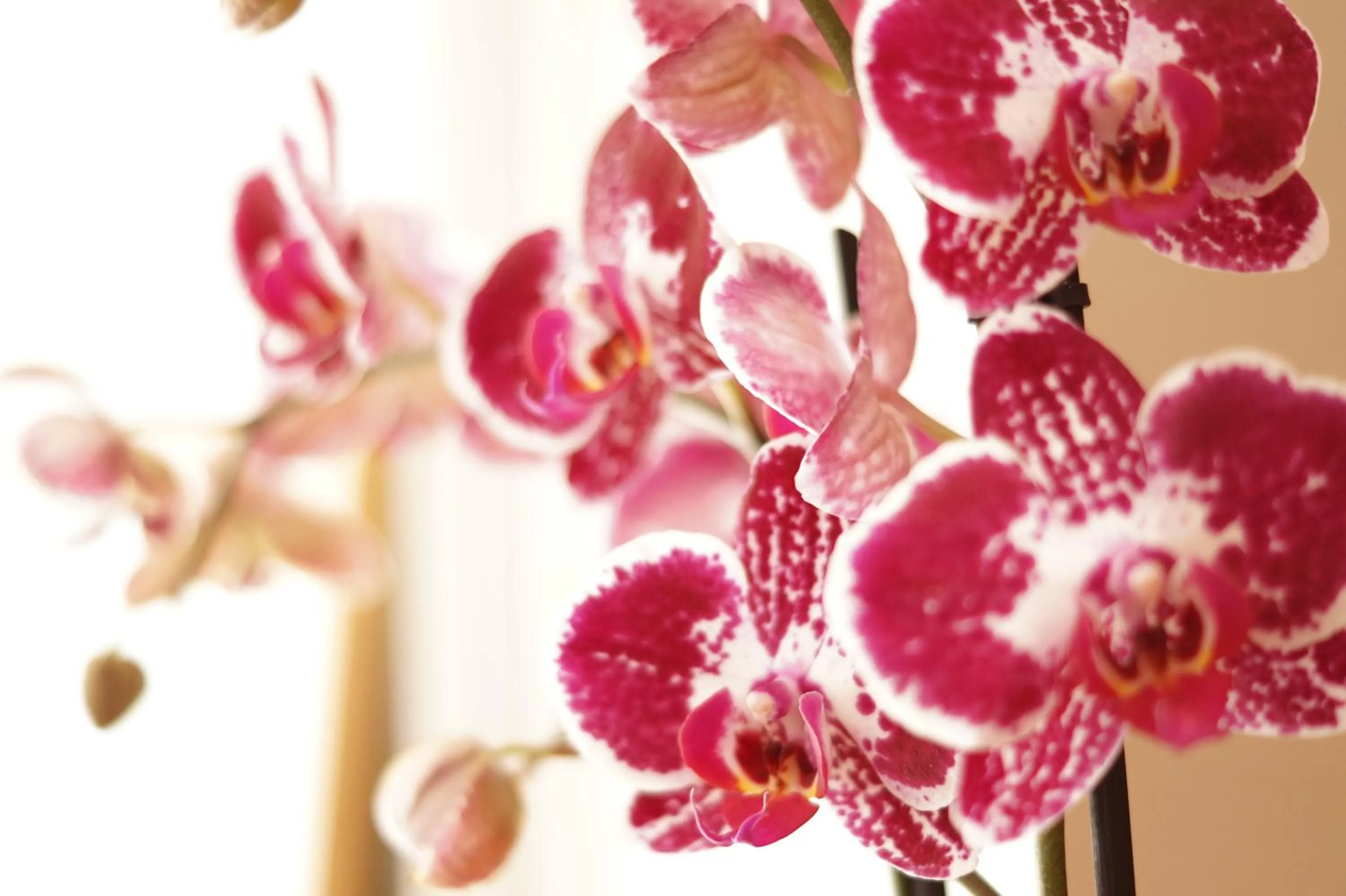 Other in Logis Hôtel du Commerce