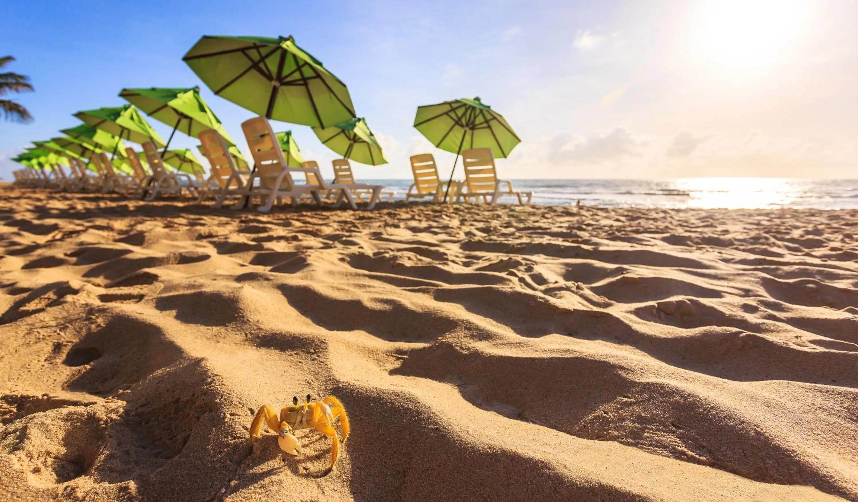 Day in Hotel Solar Porto de Galinhas