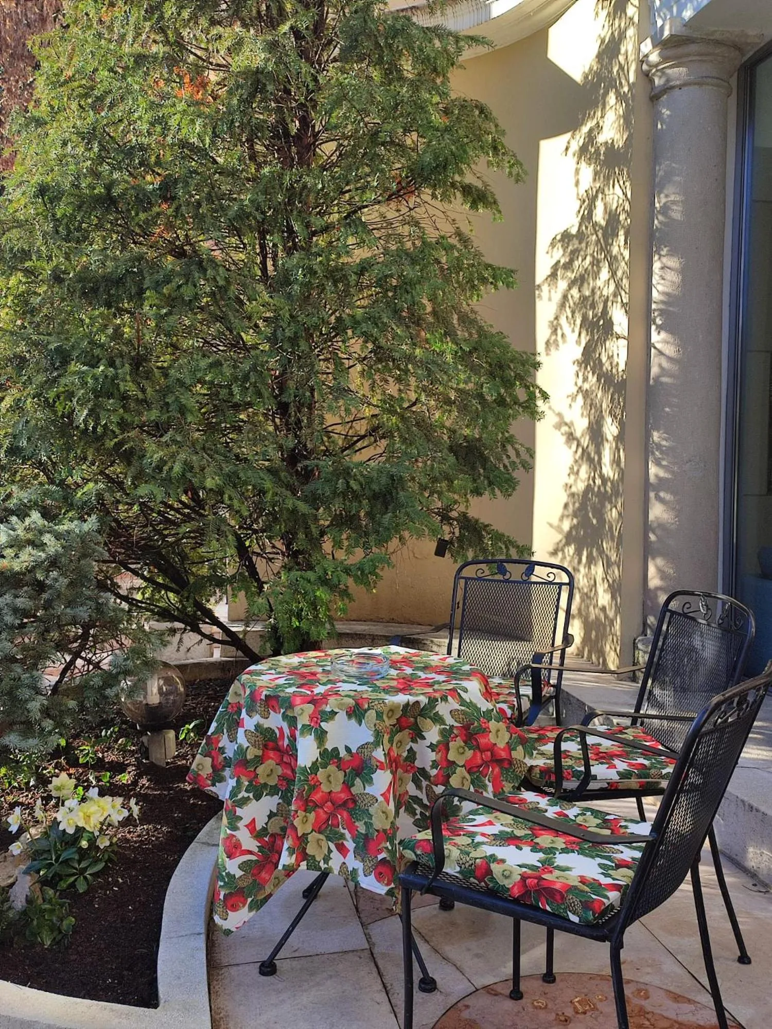 Patio in Hotel Cristallo