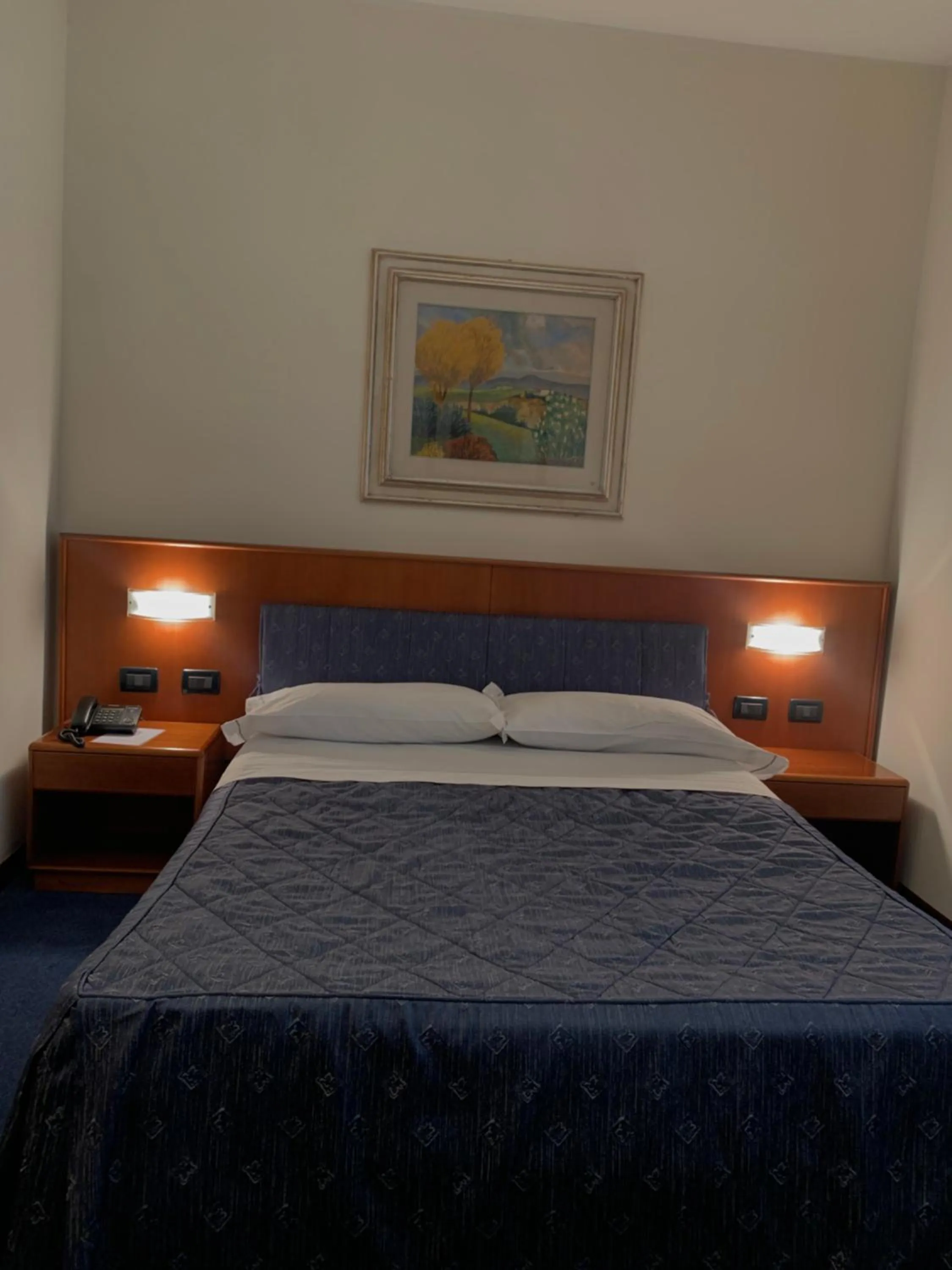 Large Single Room - single occupancy in Hotel Cristallo