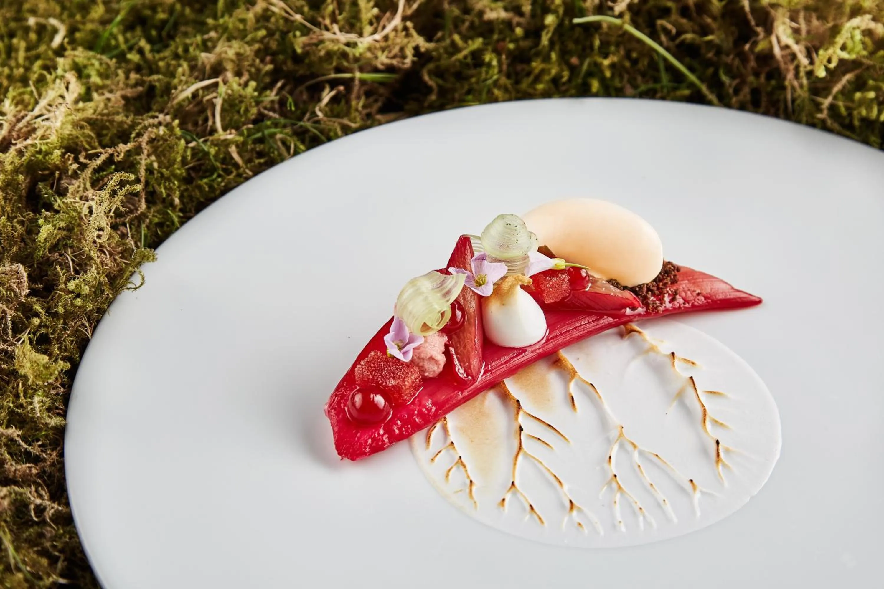 Restaurant/places to eat in Hotel VILLINO