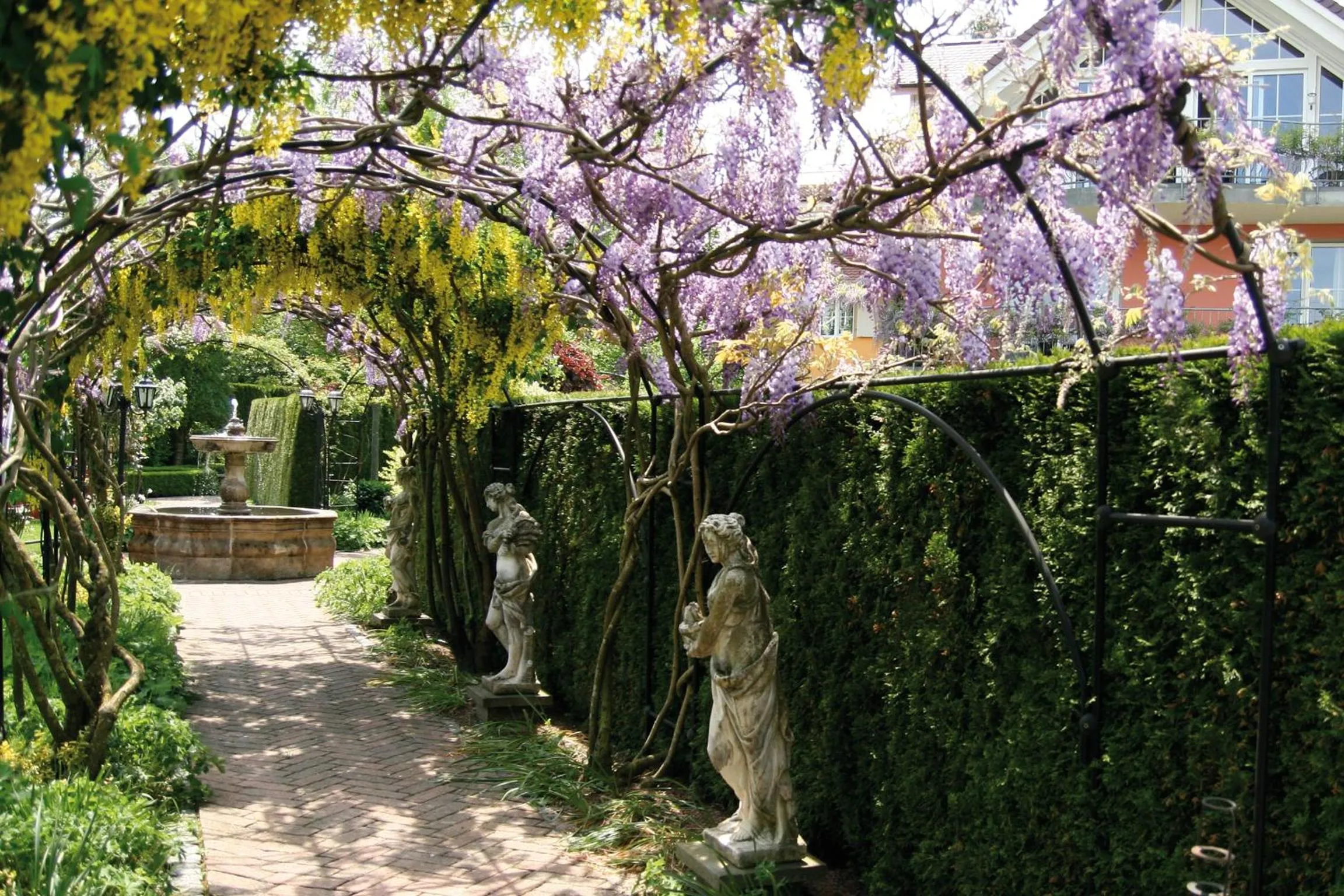Garden in Hotel VILLINO