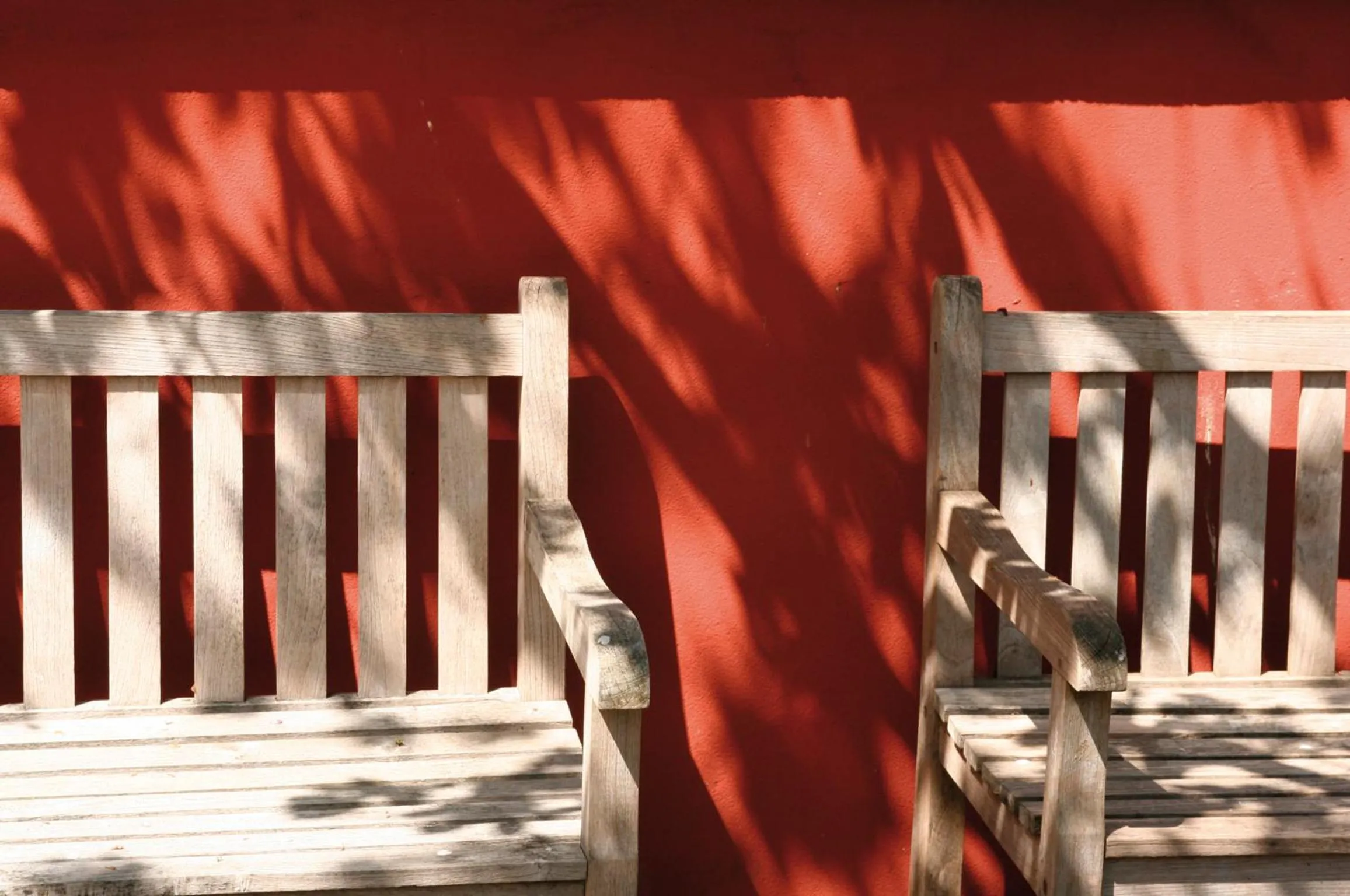 Garden in Hotel VILLINO