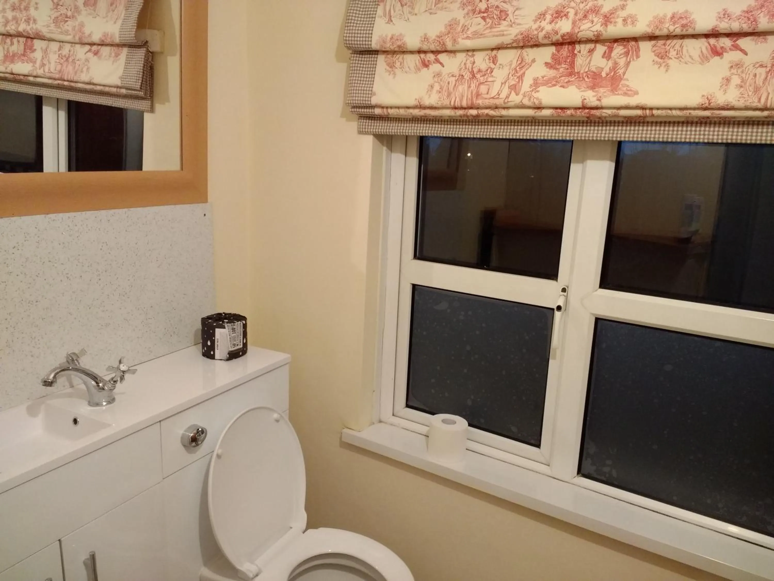 Toilet in Lisieux House on Lough Neagh