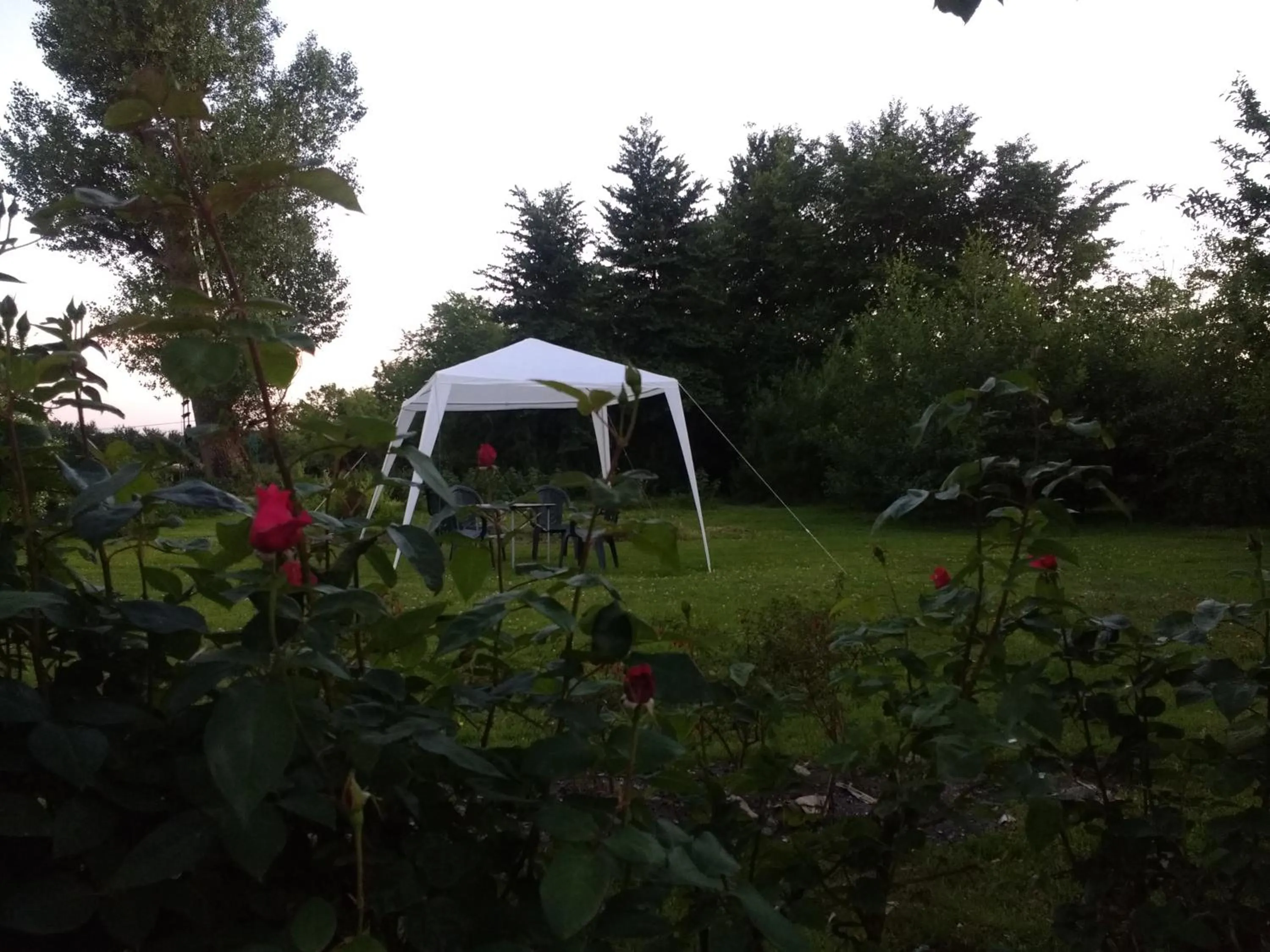 Garden in Lisieux House on Lough Neagh