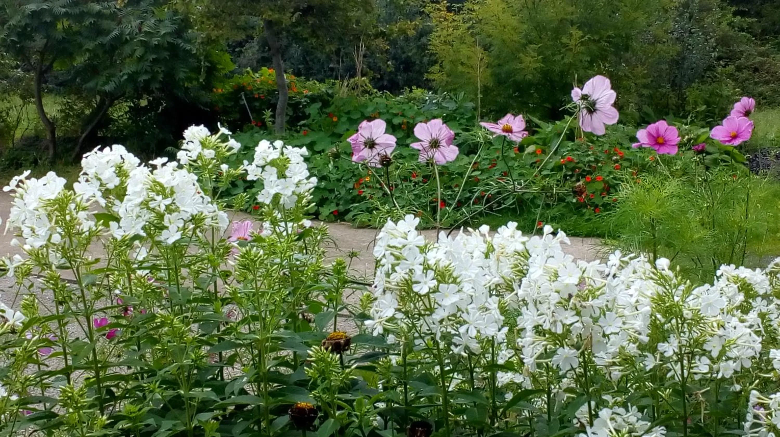 Garden view in Lisieux House on Lough Neagh