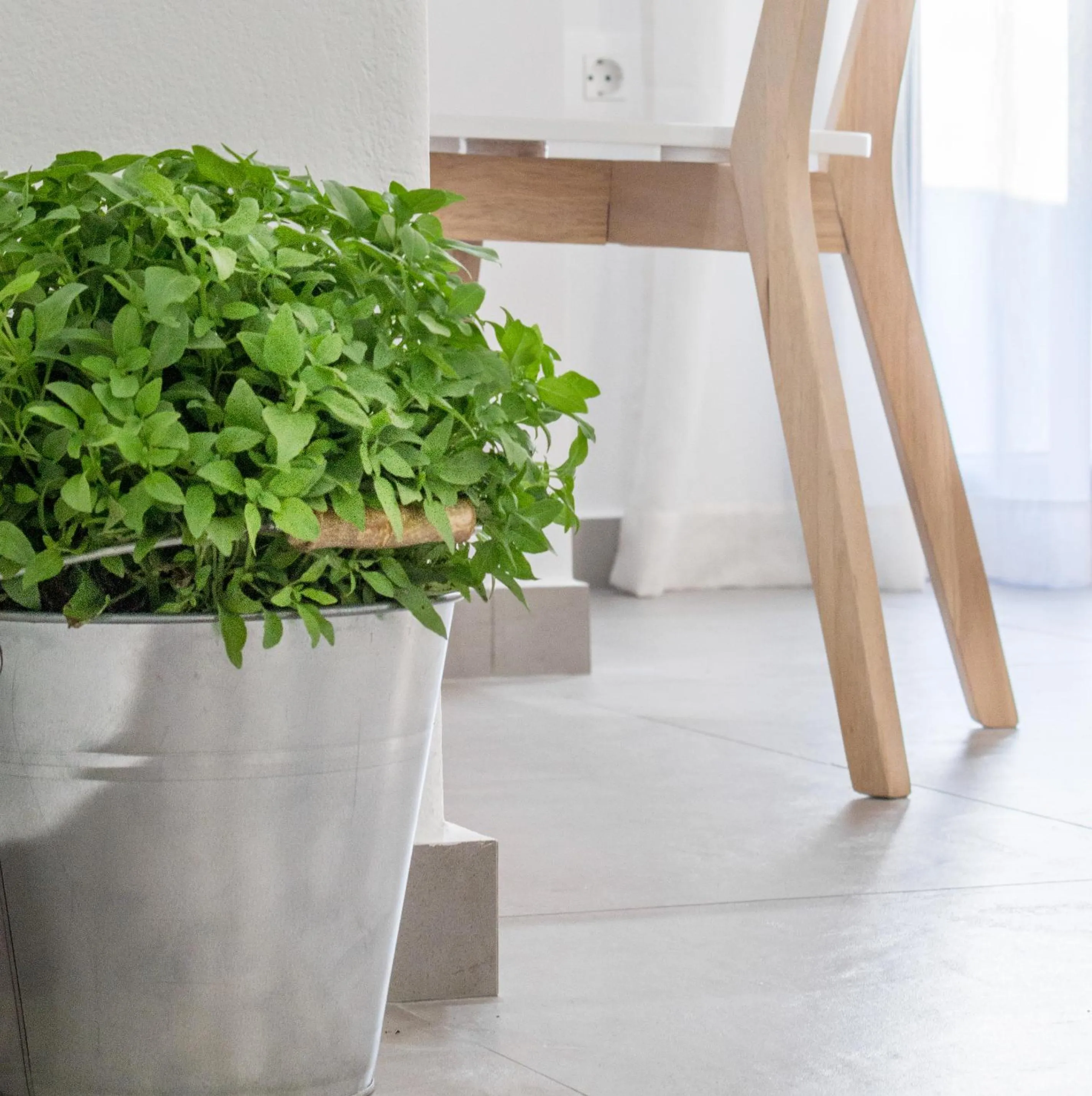 Photo of the whole room in Margaret of Naxos