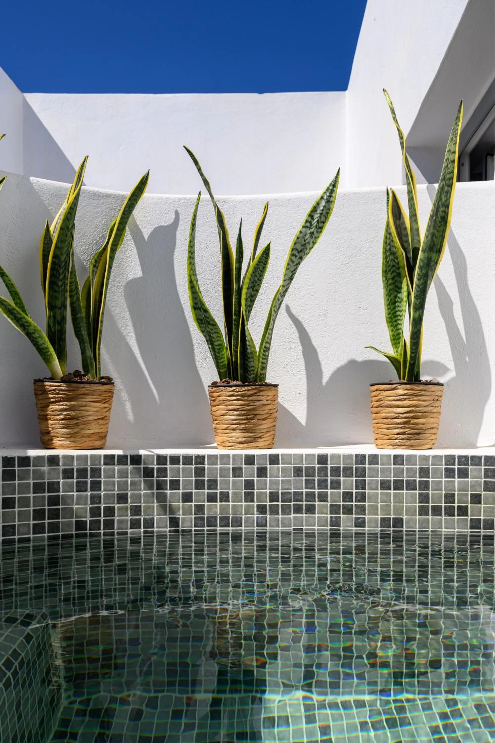 Day in Margaret of Naxos