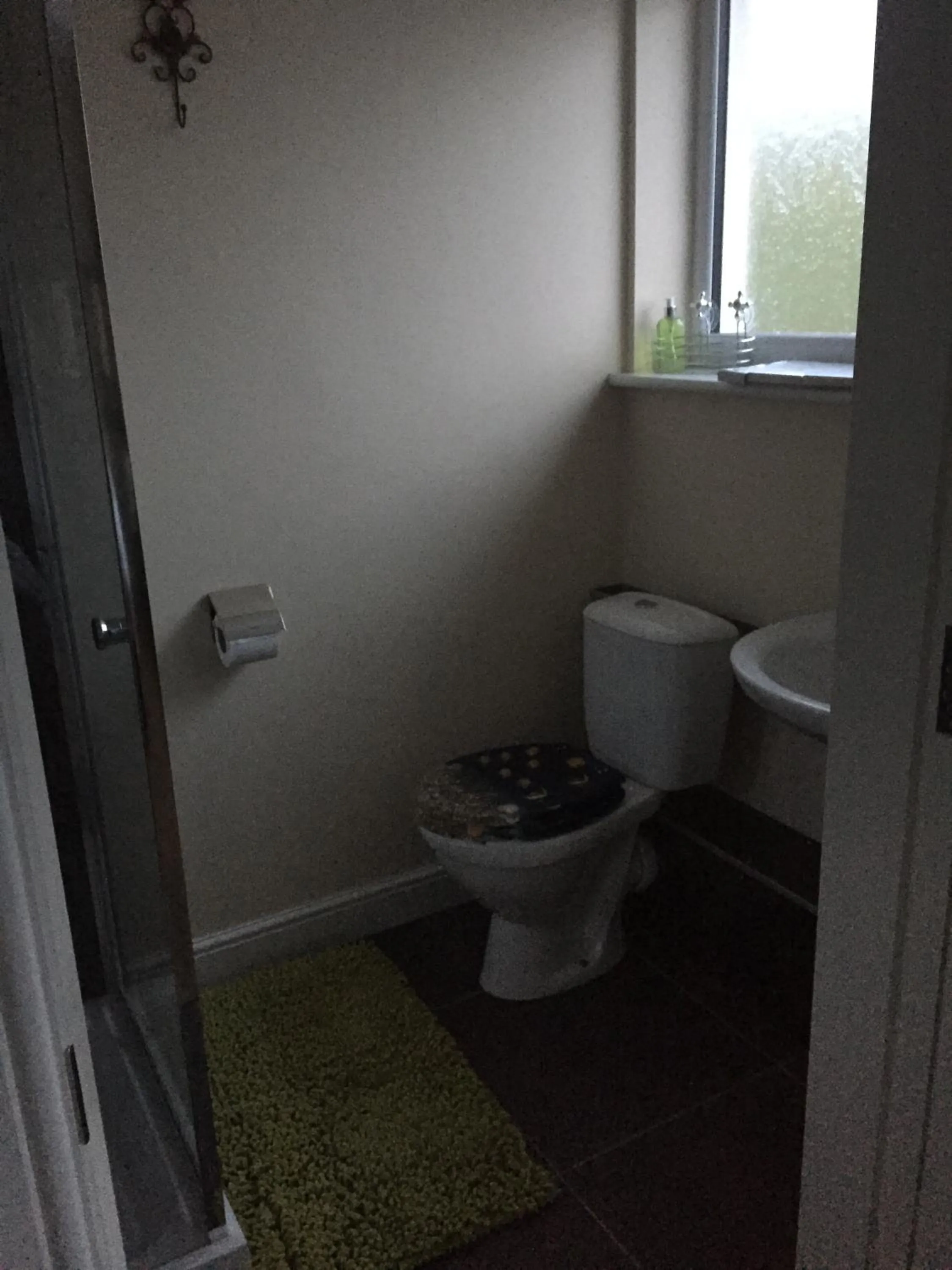 Toilet in Bro Dafydd