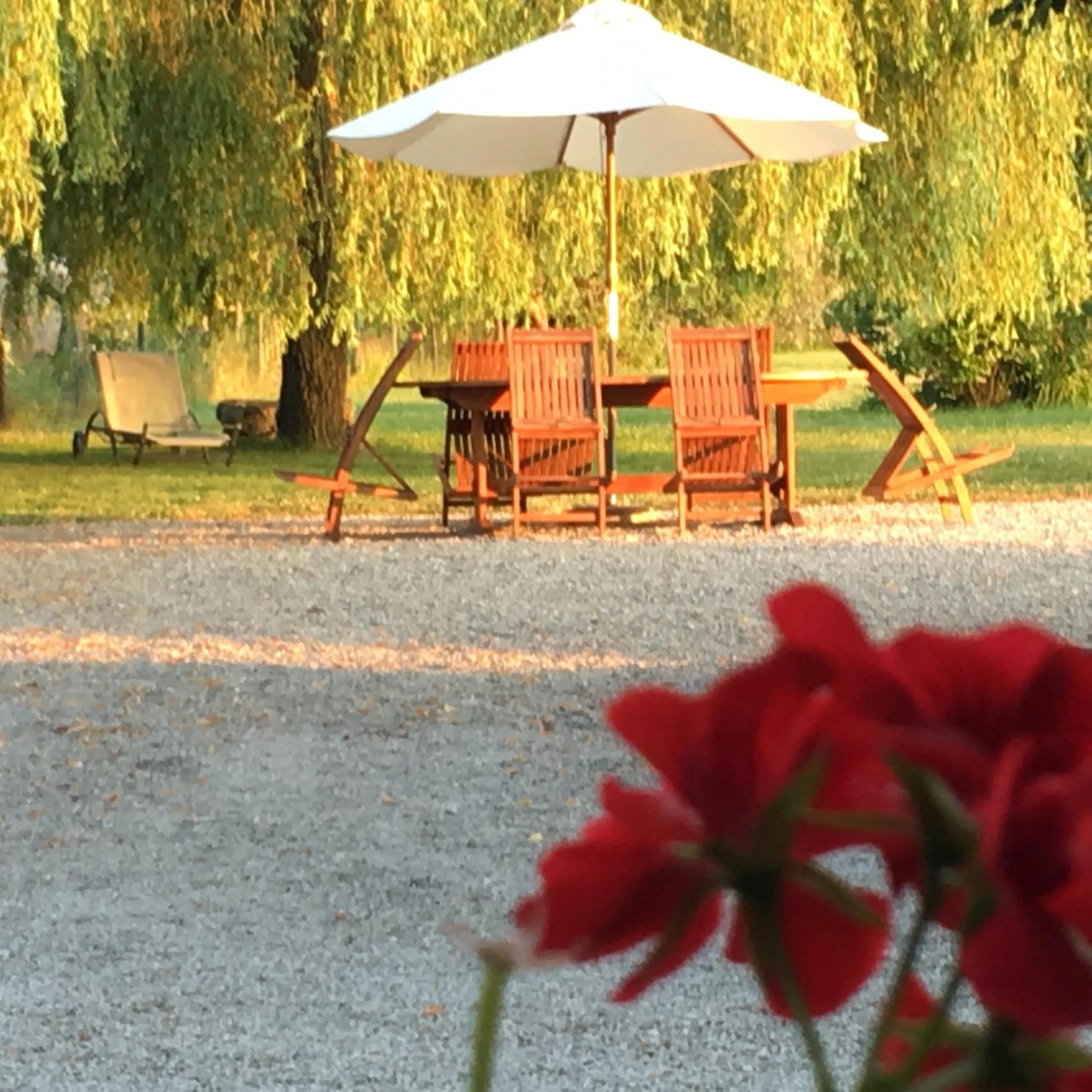 Property building in La Levraudière