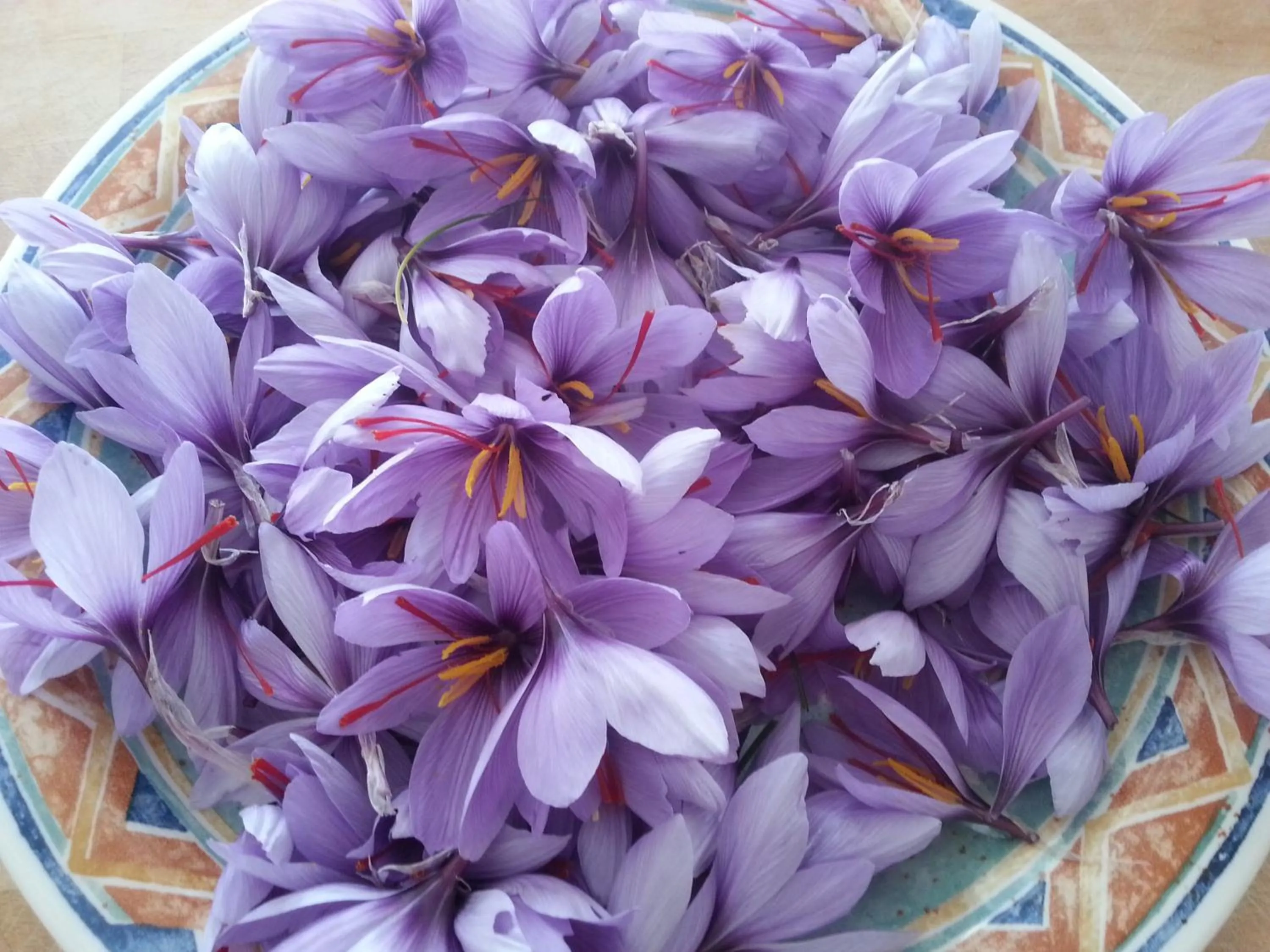 Continental breakfast in La Levraudière