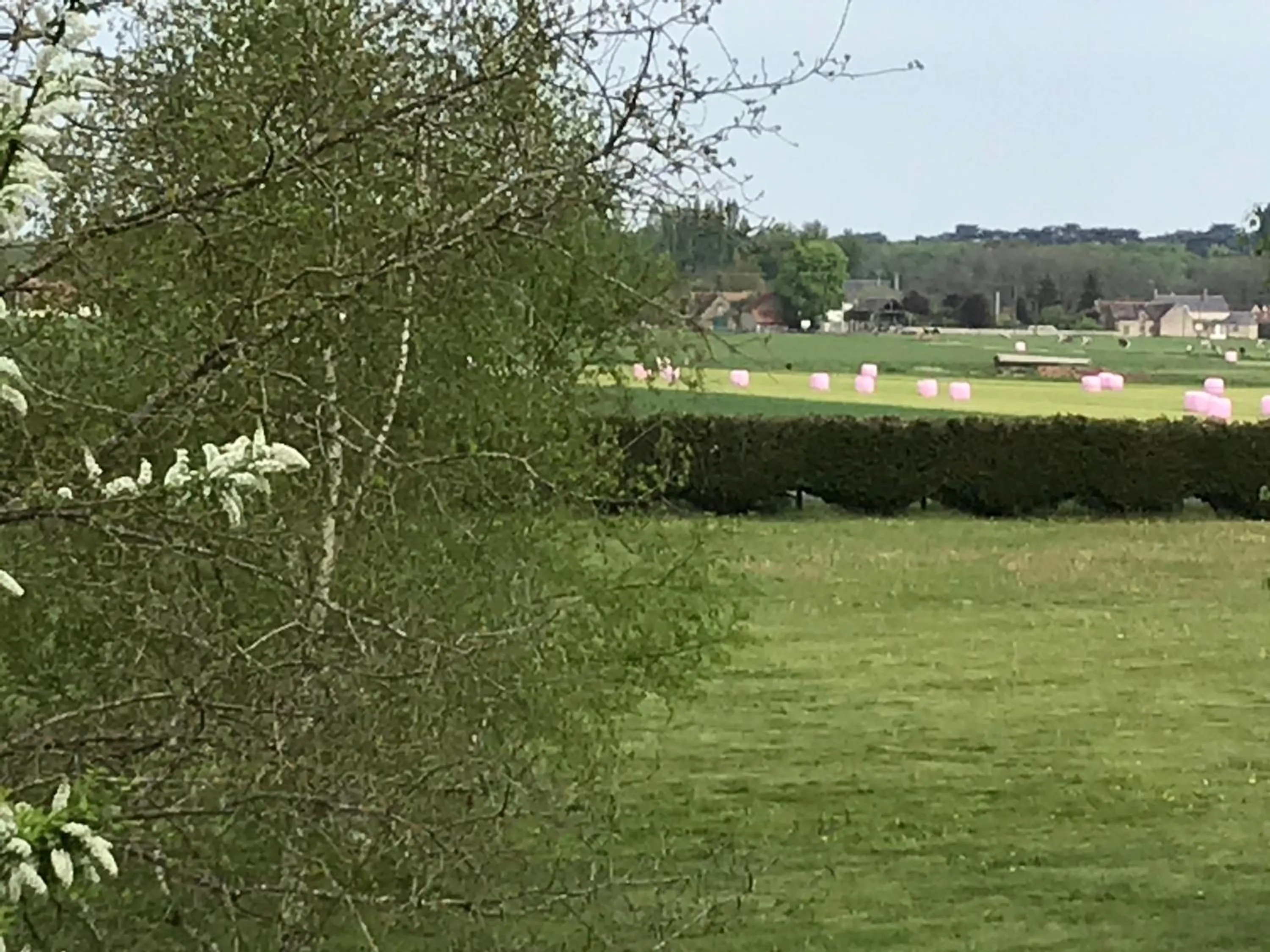 Garden view in La Levraudière