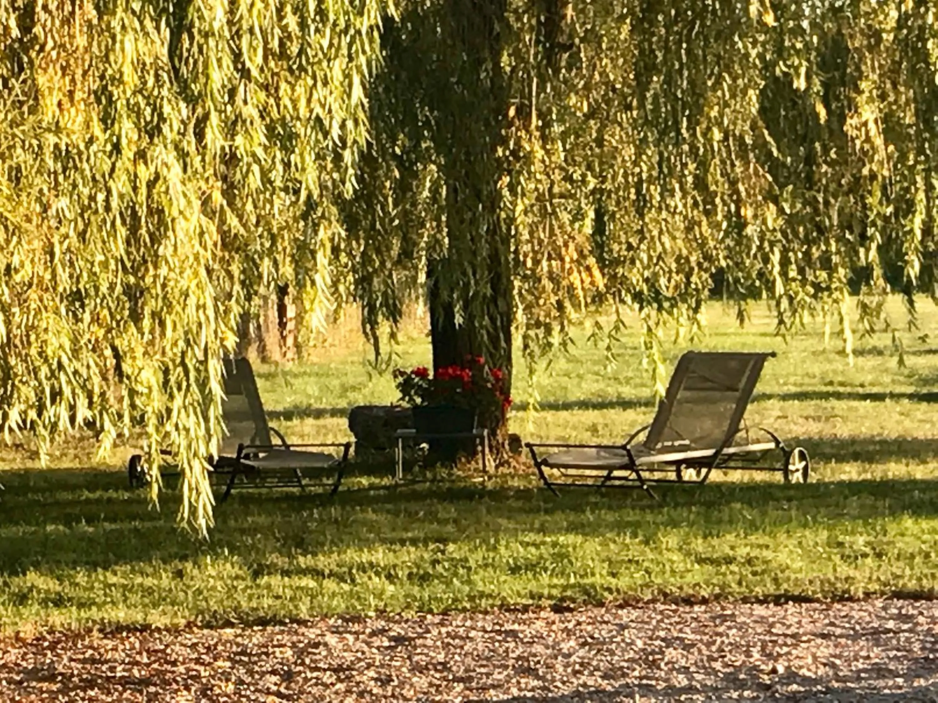 Garden in La Levraudière