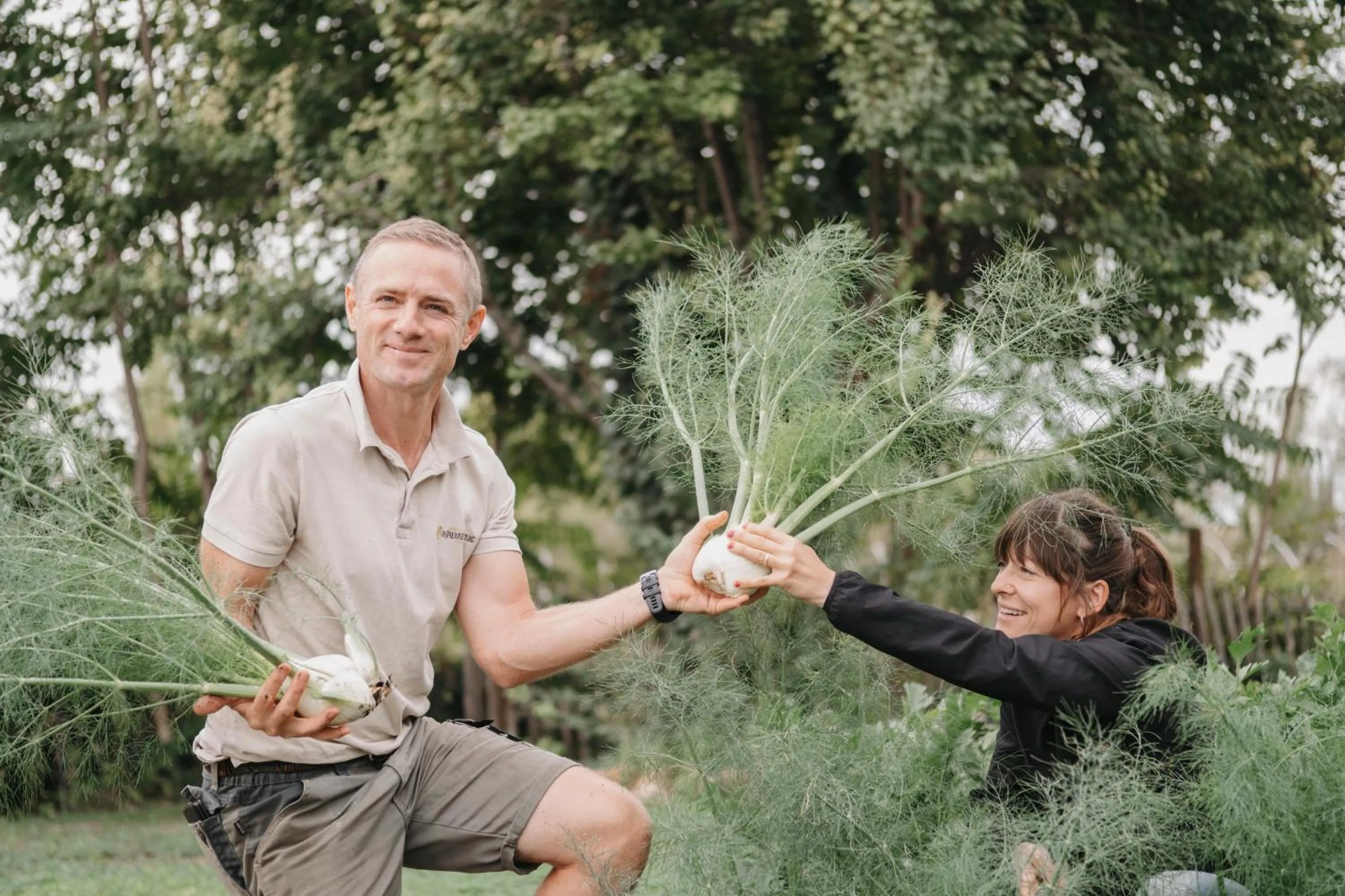 Restaurant/places to eat in Château St Pierre de Serjac