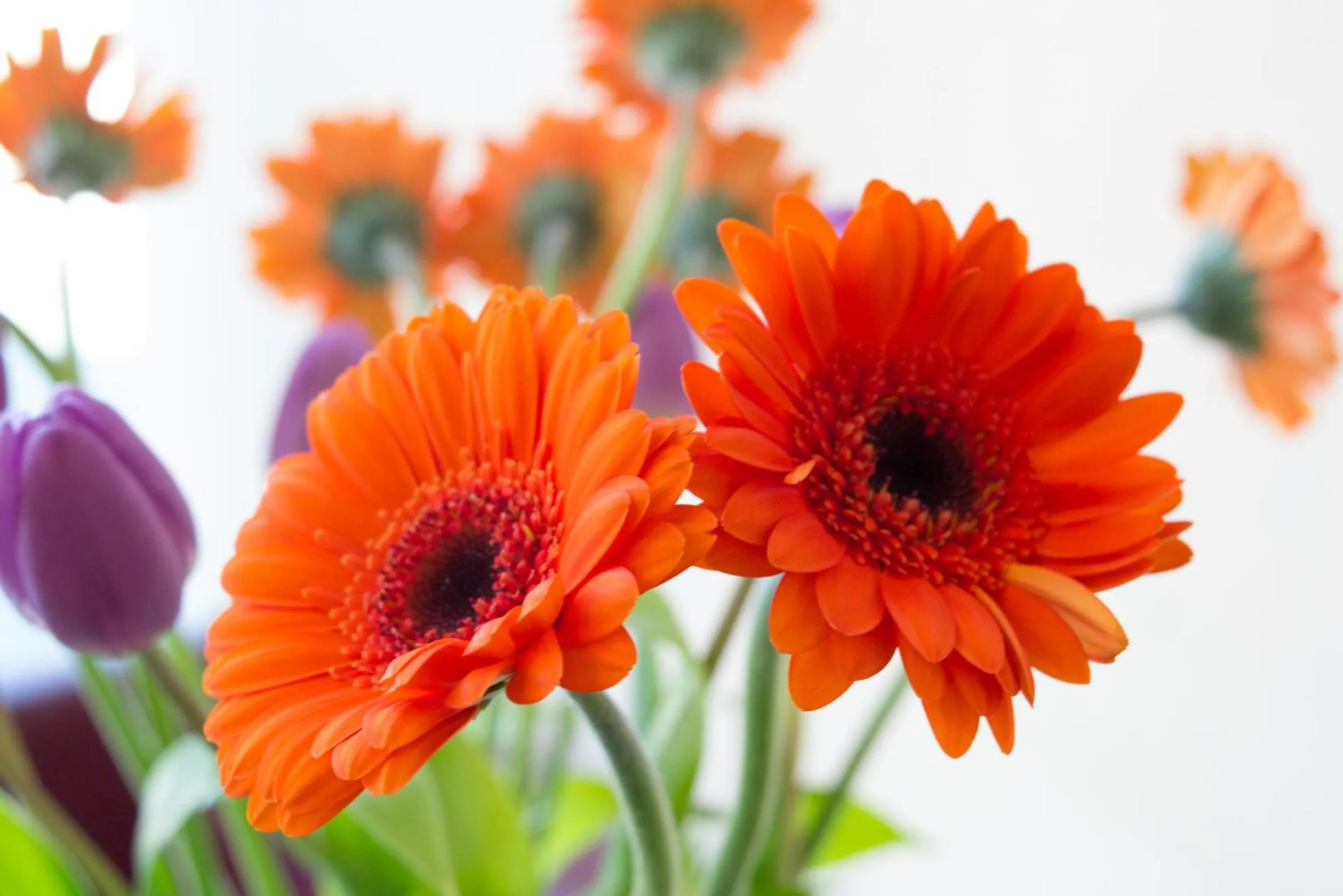 Decorative detail in Amba Hotel