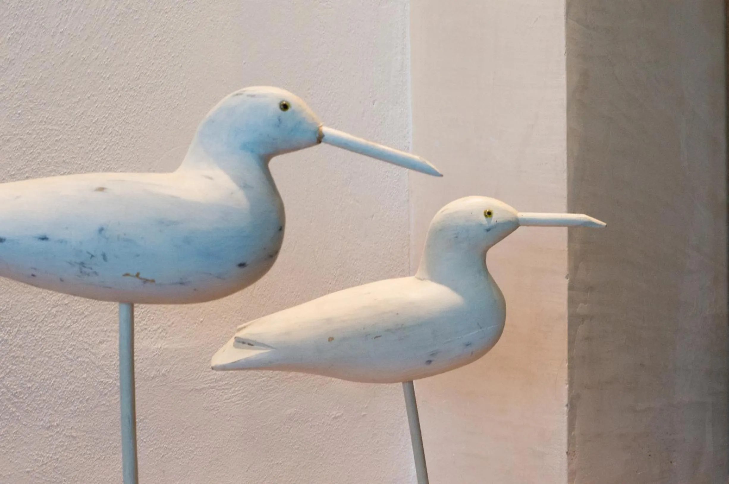 Banquet/Function facilities in Amba Hotel