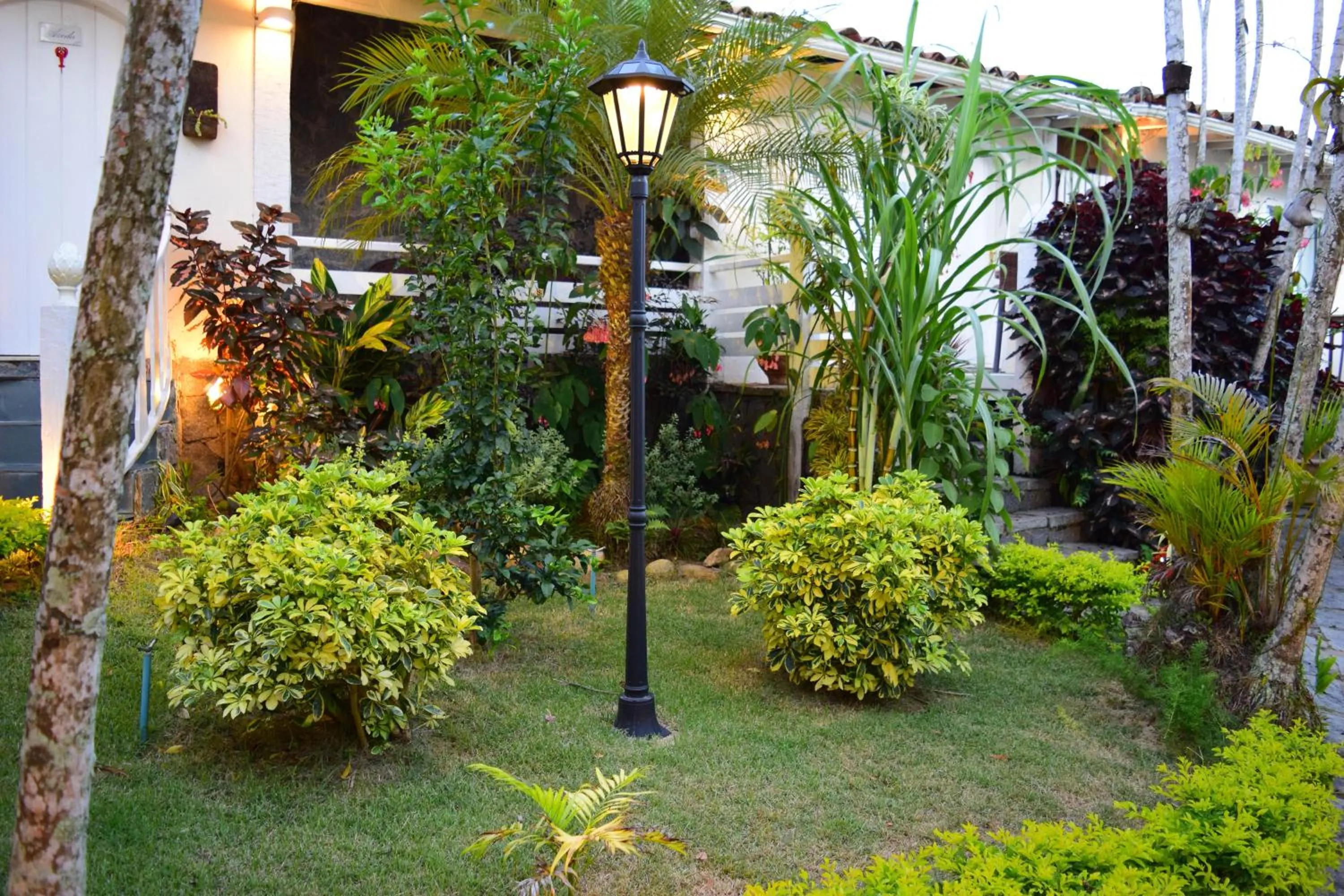 Garden view in Auberge de la Langouste