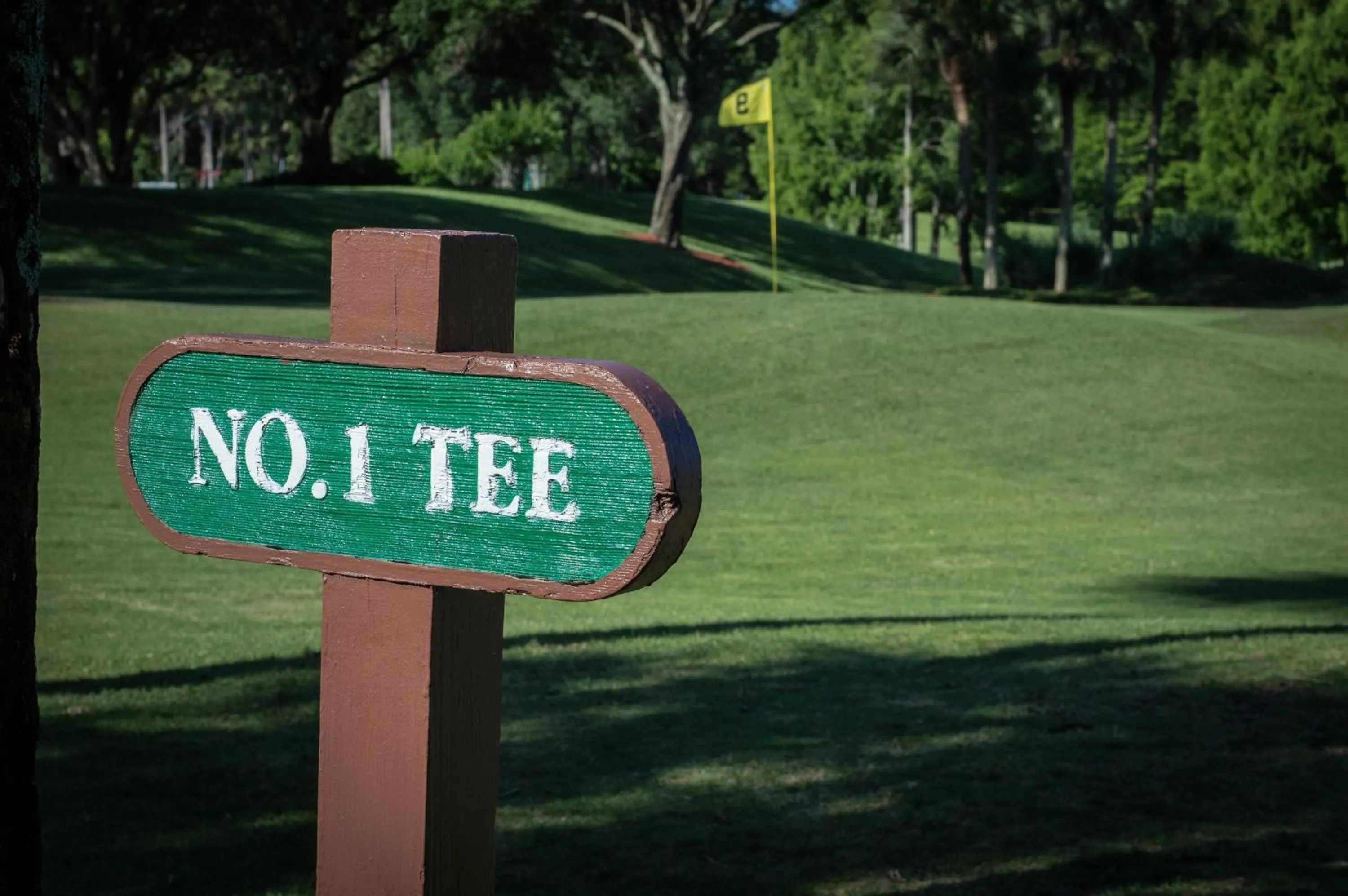 Golfcourse in Hyatt Regency Grand Cypress Resort - Free Shuttle to Theme Parks!