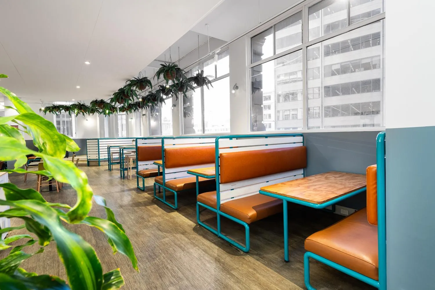 Dinner in YHA Sydney Central