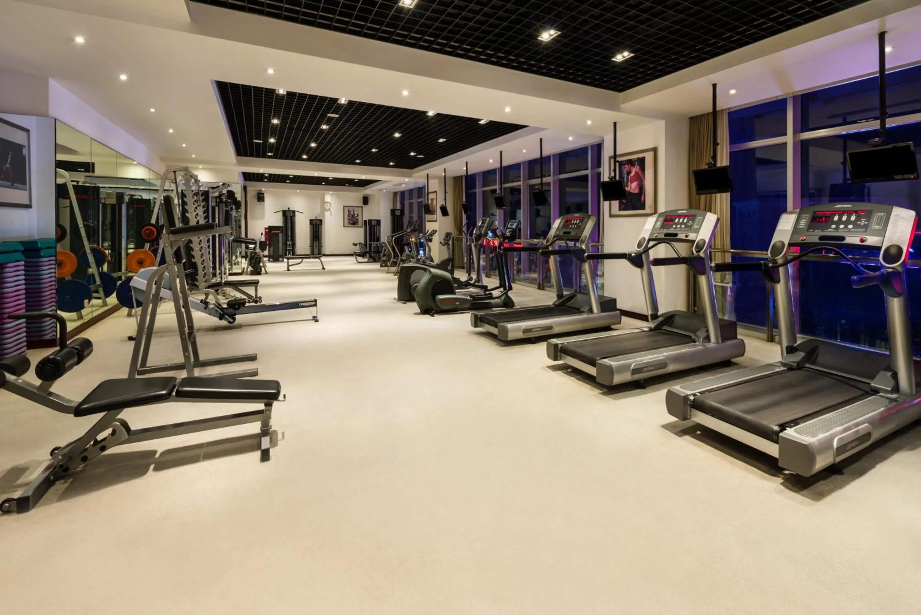 Fitness centre/facilities, Fitness Center/Facilities in Crowne Plaza Shanghai Pudong