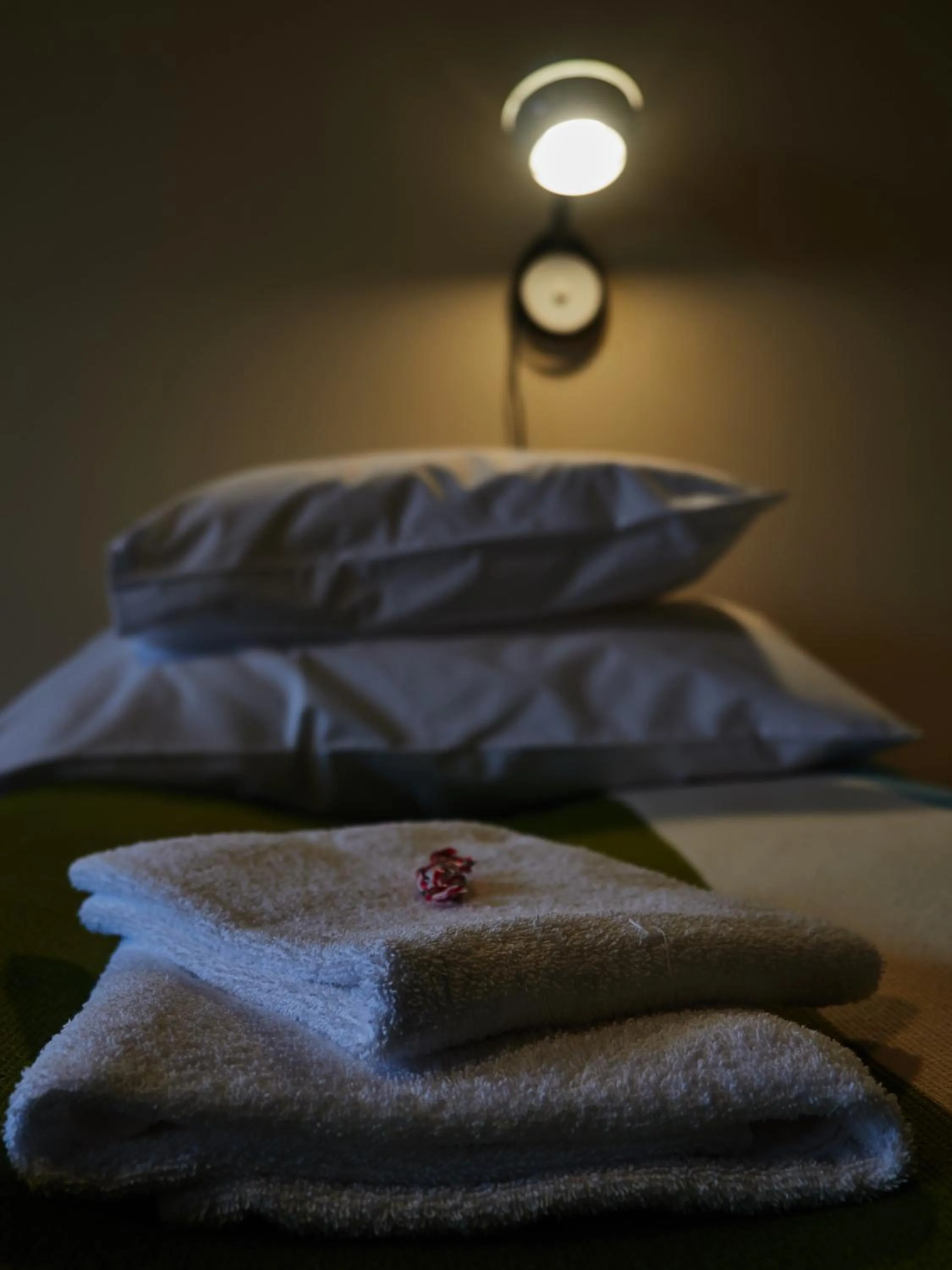 Bed in Hotelli Pielinen