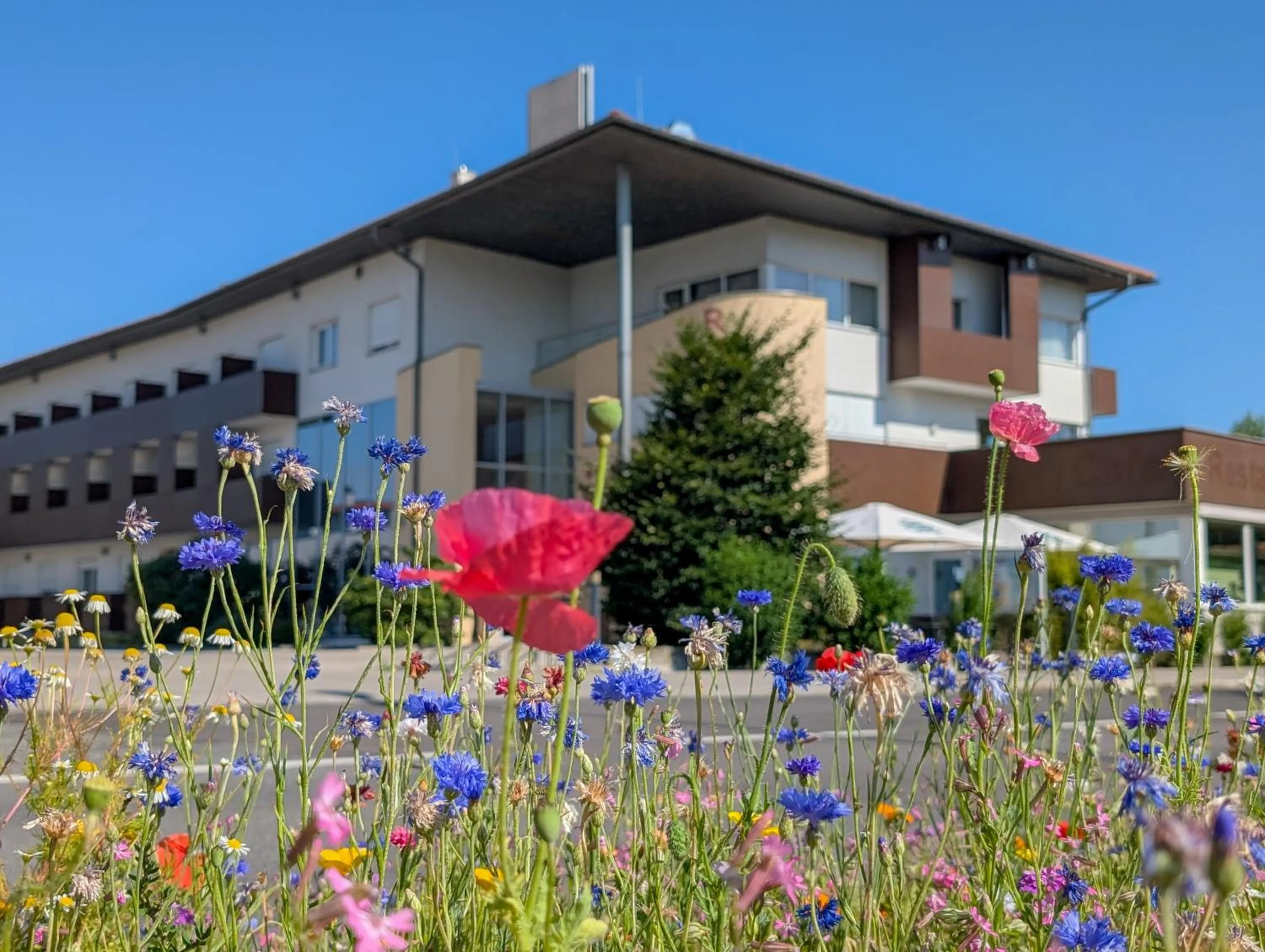 Property building in Hotel Römerhof