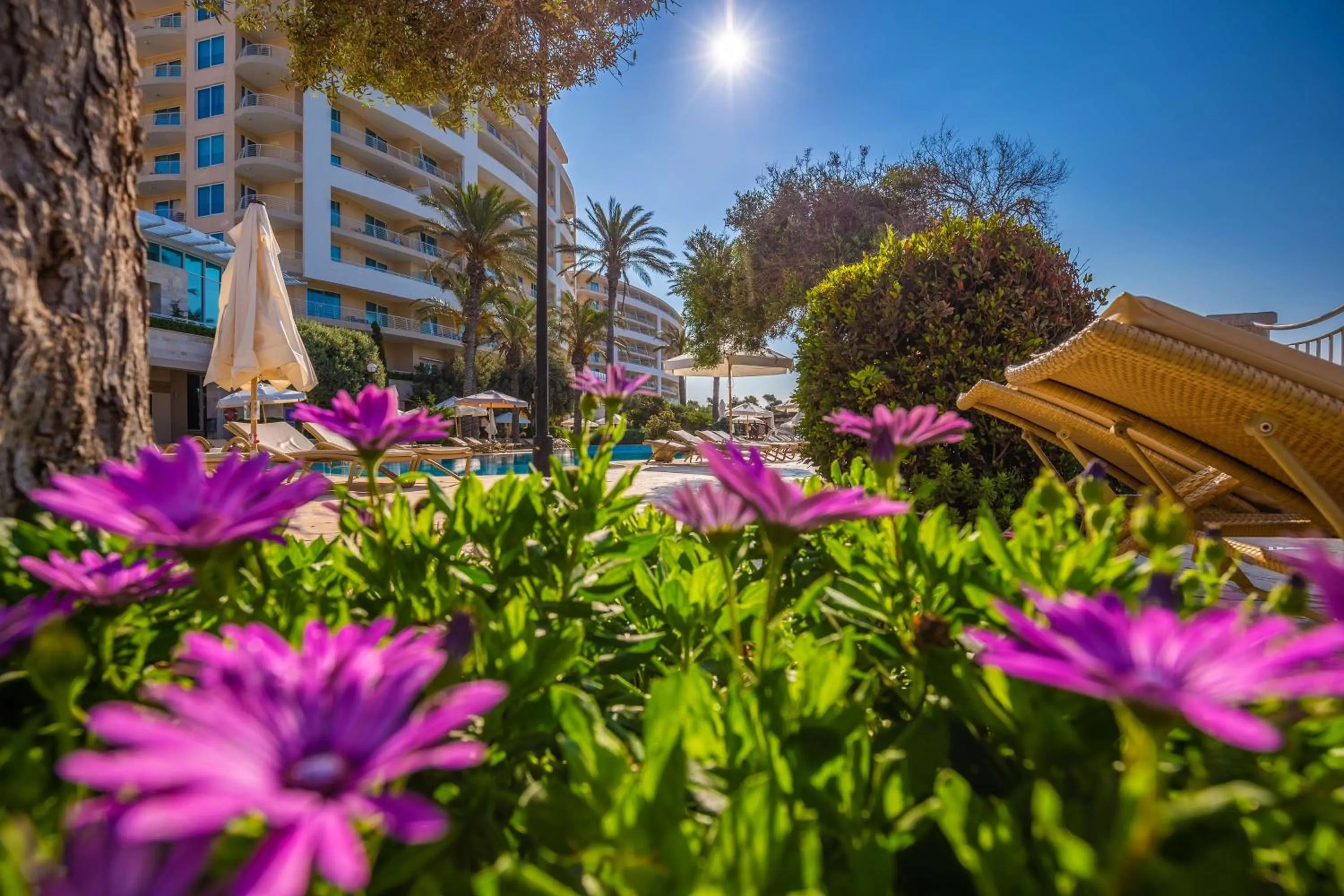 Pool view in Radisson Blu Resort & Spa, Malta Golden Sands