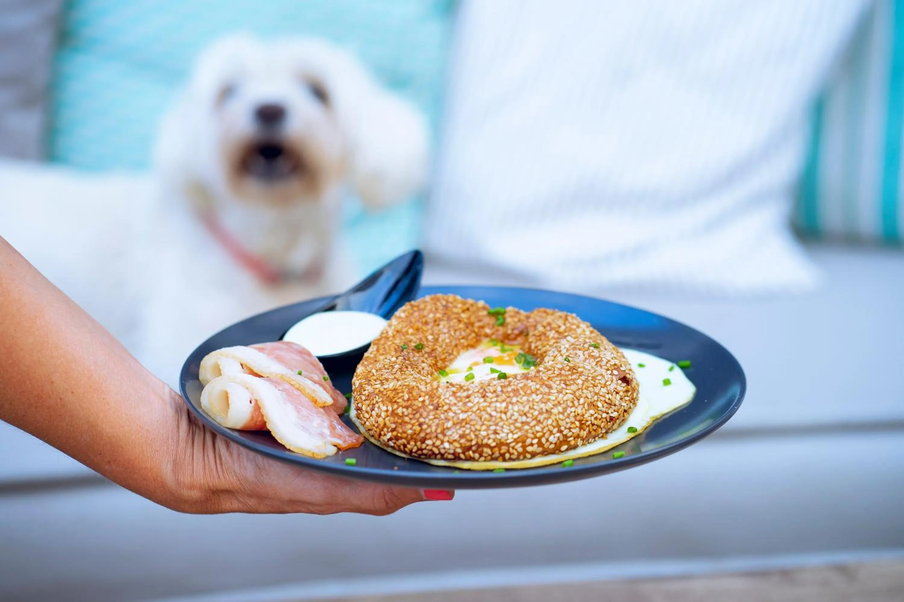 Restaurant/places to eat in Kenta Beach Hotel