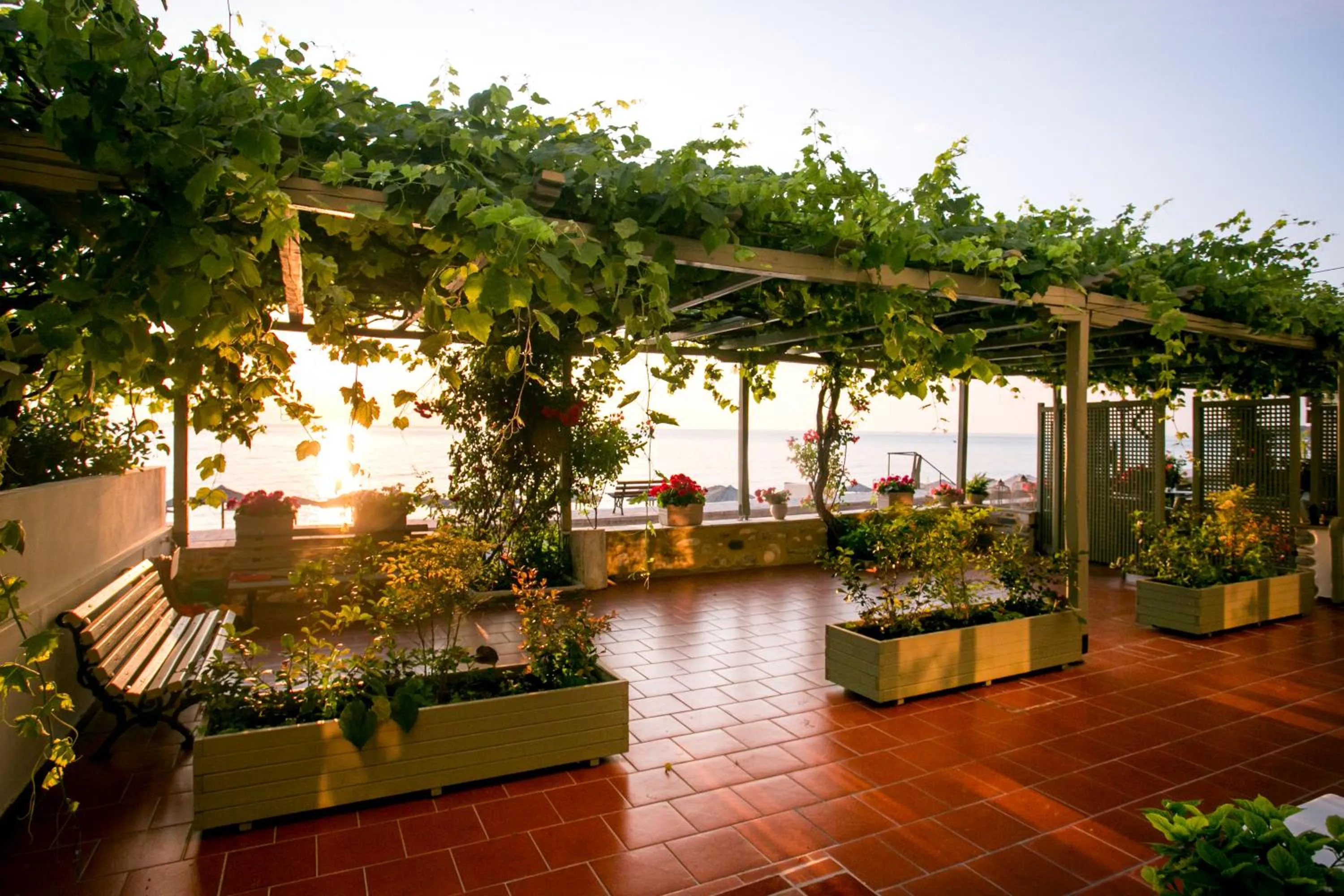 Garden in Kenta Beach Hotel