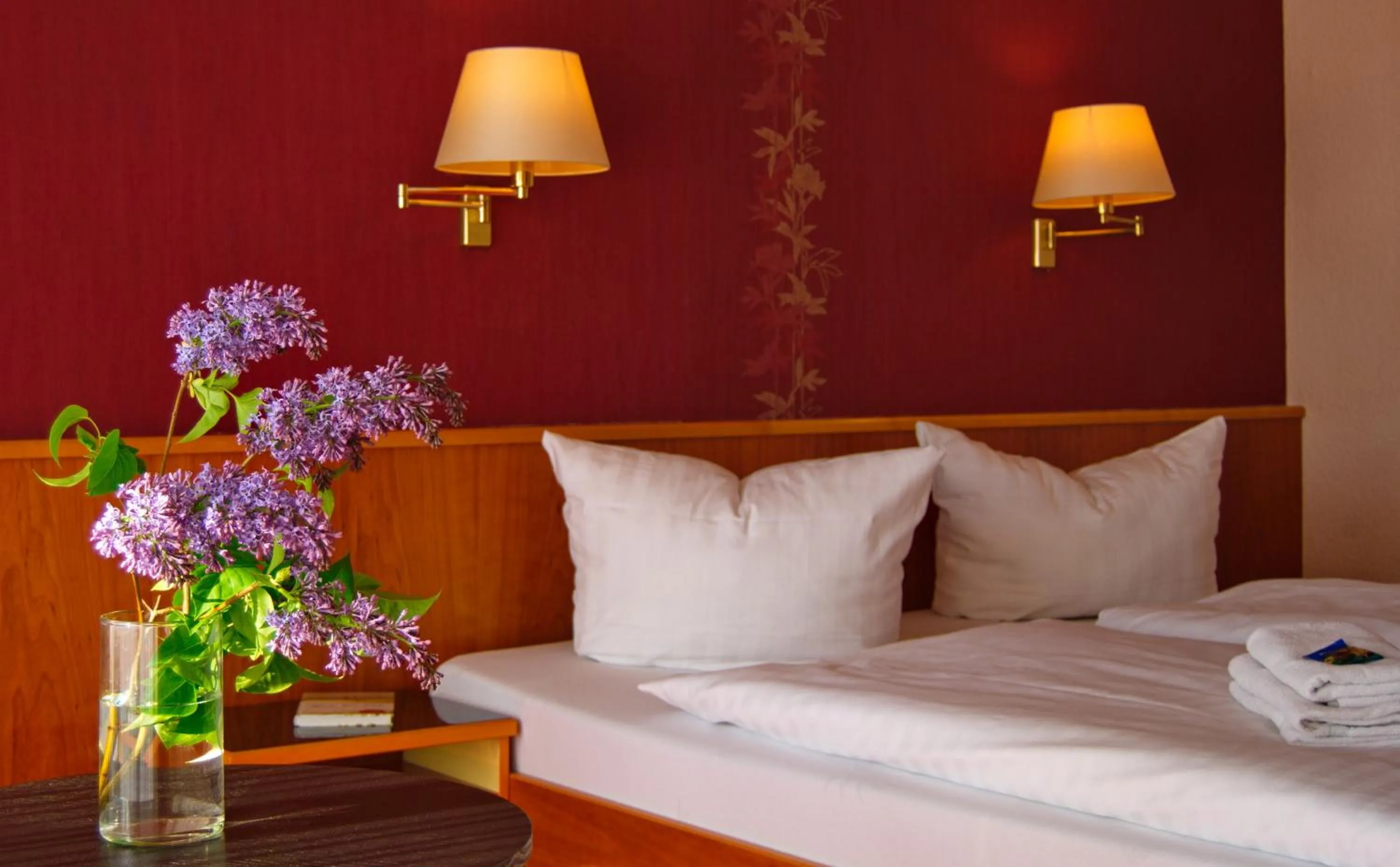 Double Room - single occupancy in Hotel Goldener Fasan