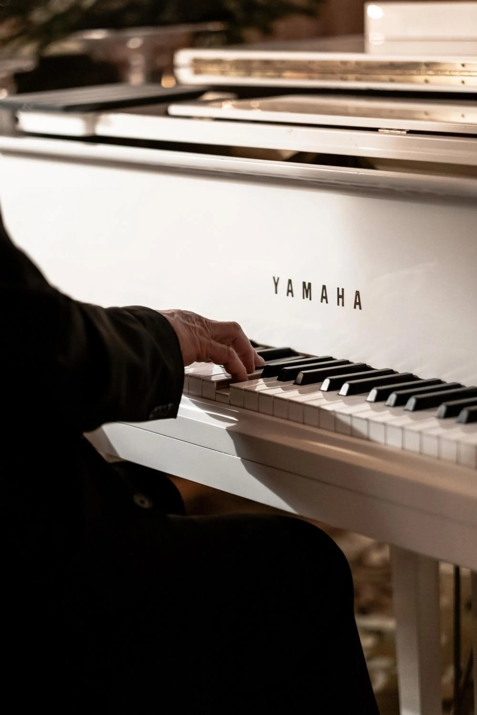 Lounge or bar in Alpes Hôtel du Pralong