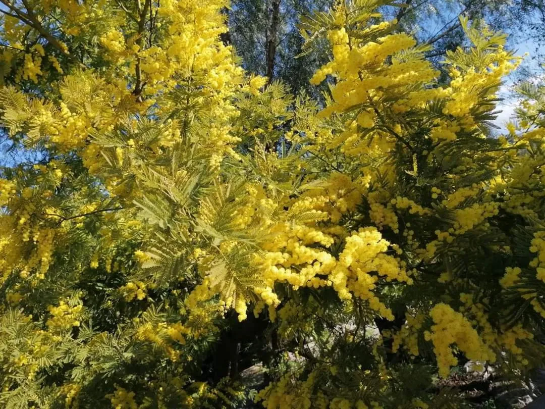 L'Isola Felice e Trulli Sotto Le Stelle