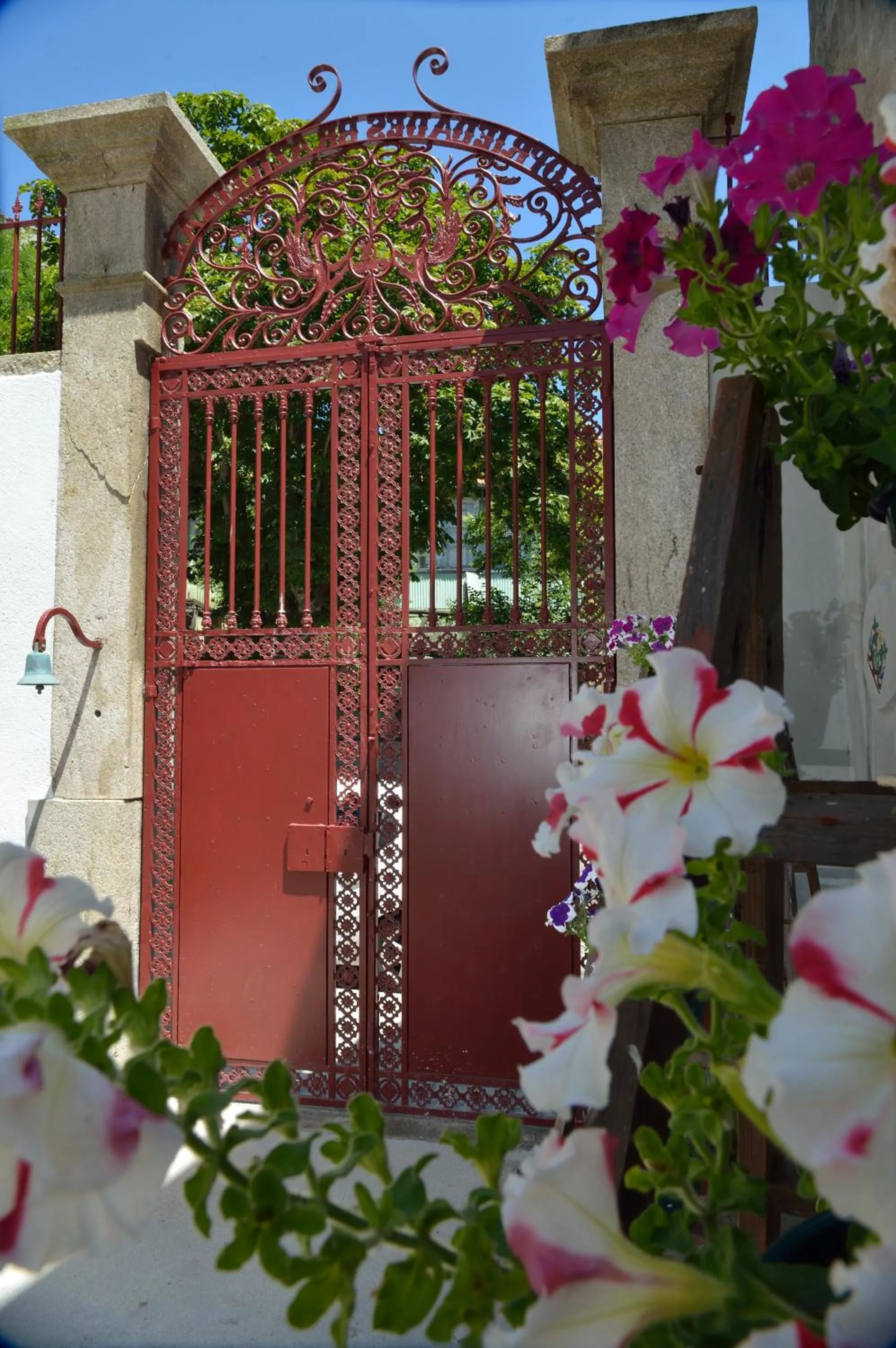 Garden in Dukes Corner Guest House