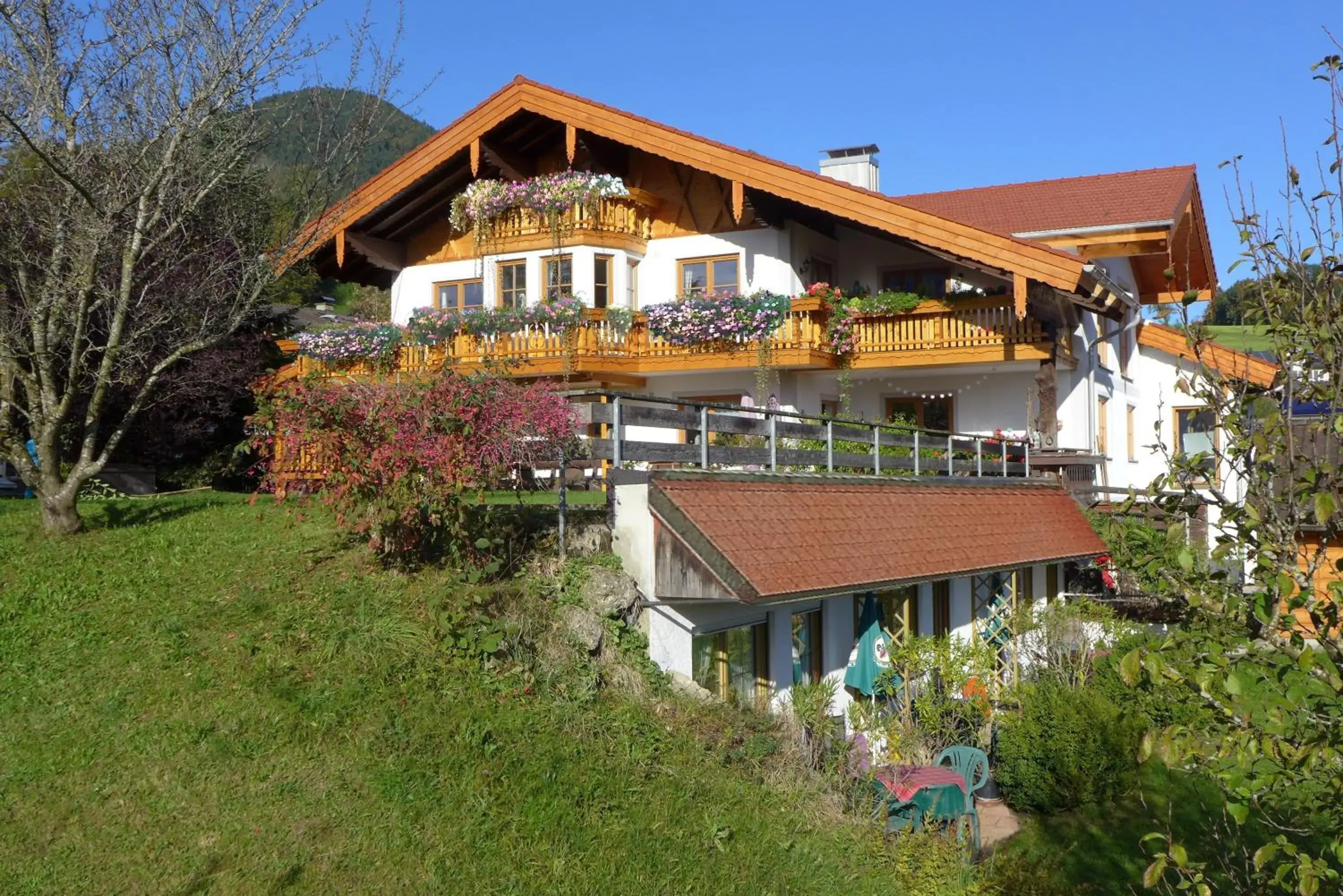 Pension Berghof Pension Berghof