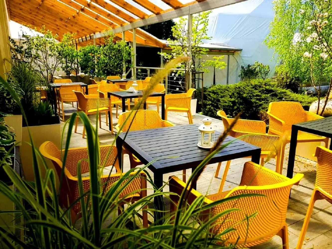 Patio in 4 Żywioły Falenty Ośrodek Konferencyjno-Szkoleniowy