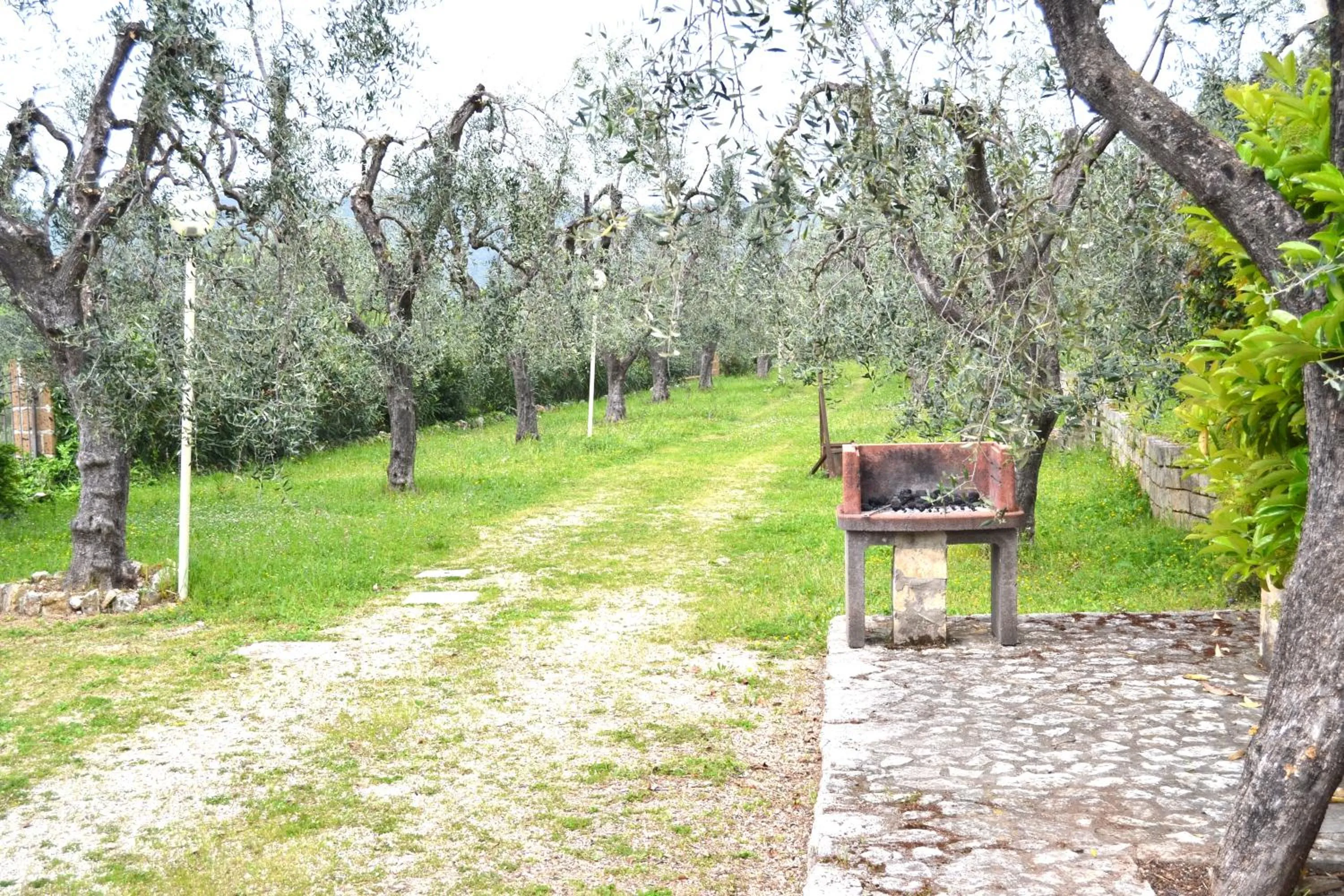 Garden view in Agriturismo Fara del Falco