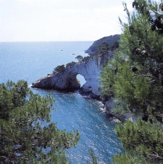 Natural landscape in Agriturismo Fara del Falco