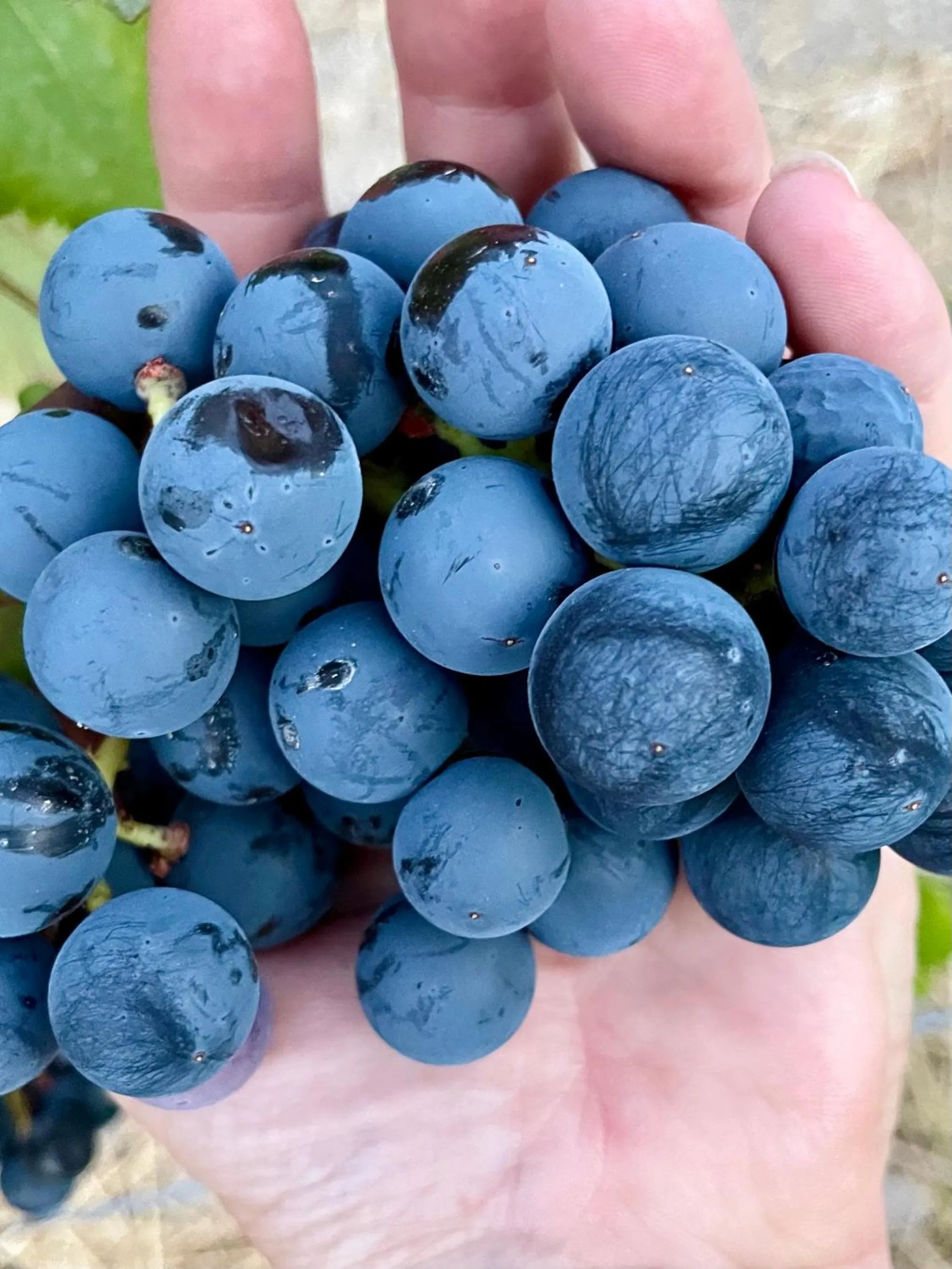 Activities in Bajo El Cejo