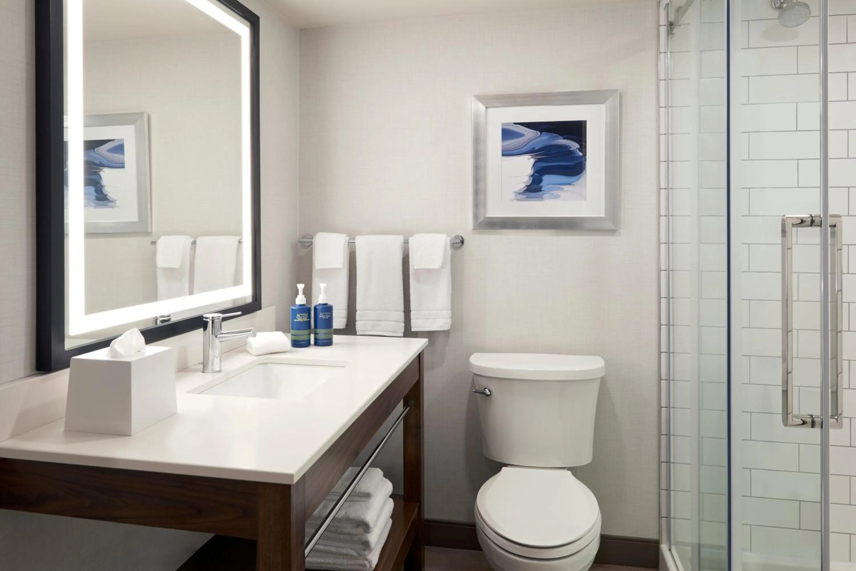 Shower in Four Points by Sheraton Point Edward Sarnia