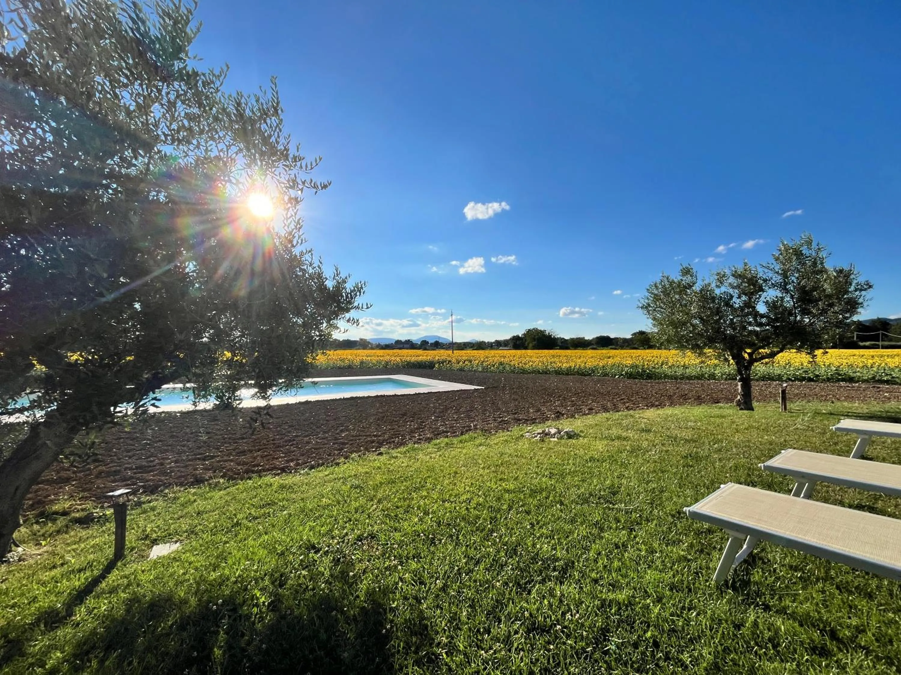 Swimming pool in Assisium Agriturismo
