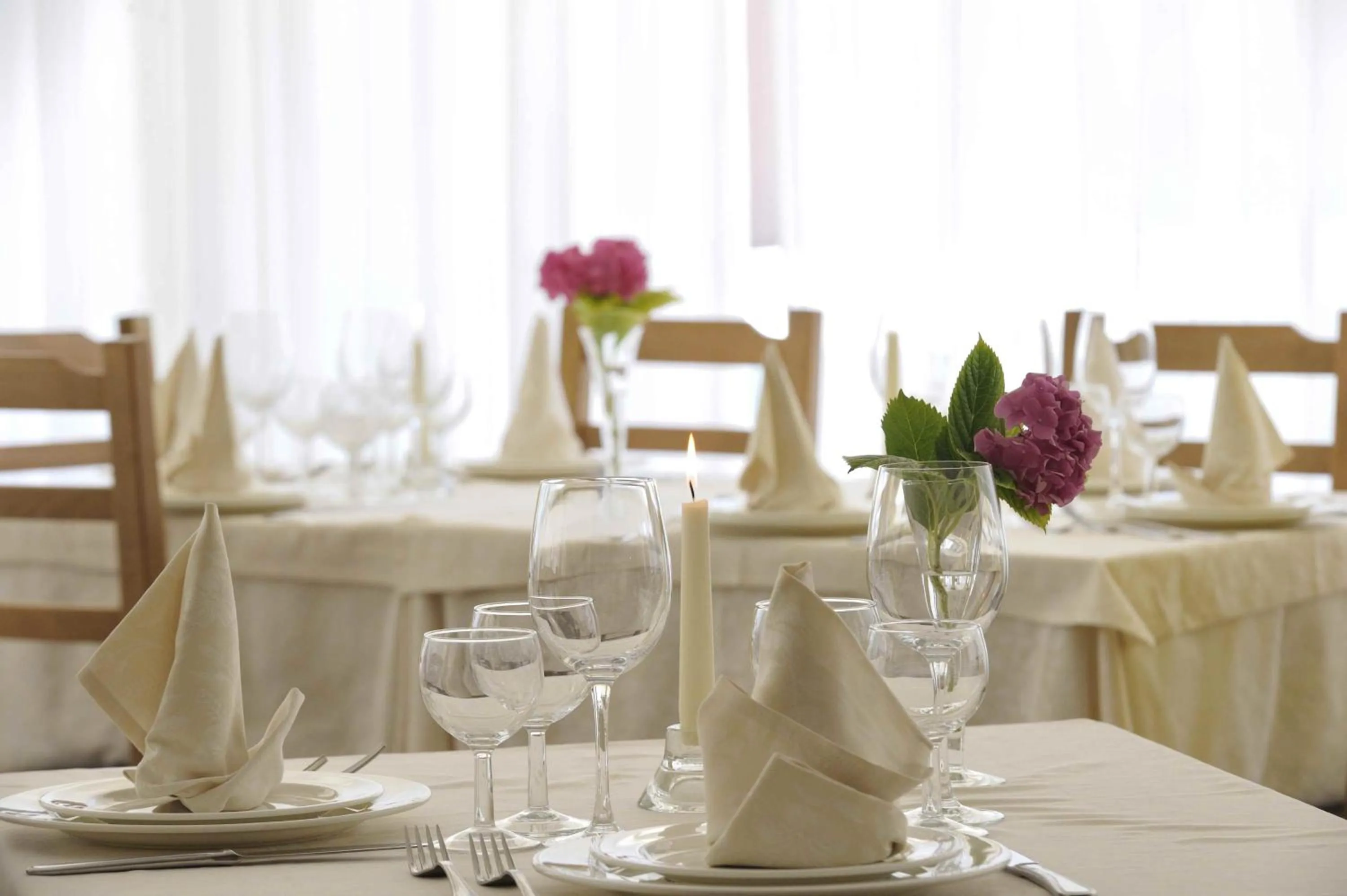 Restaurant/places to eat in Hotel Danieli