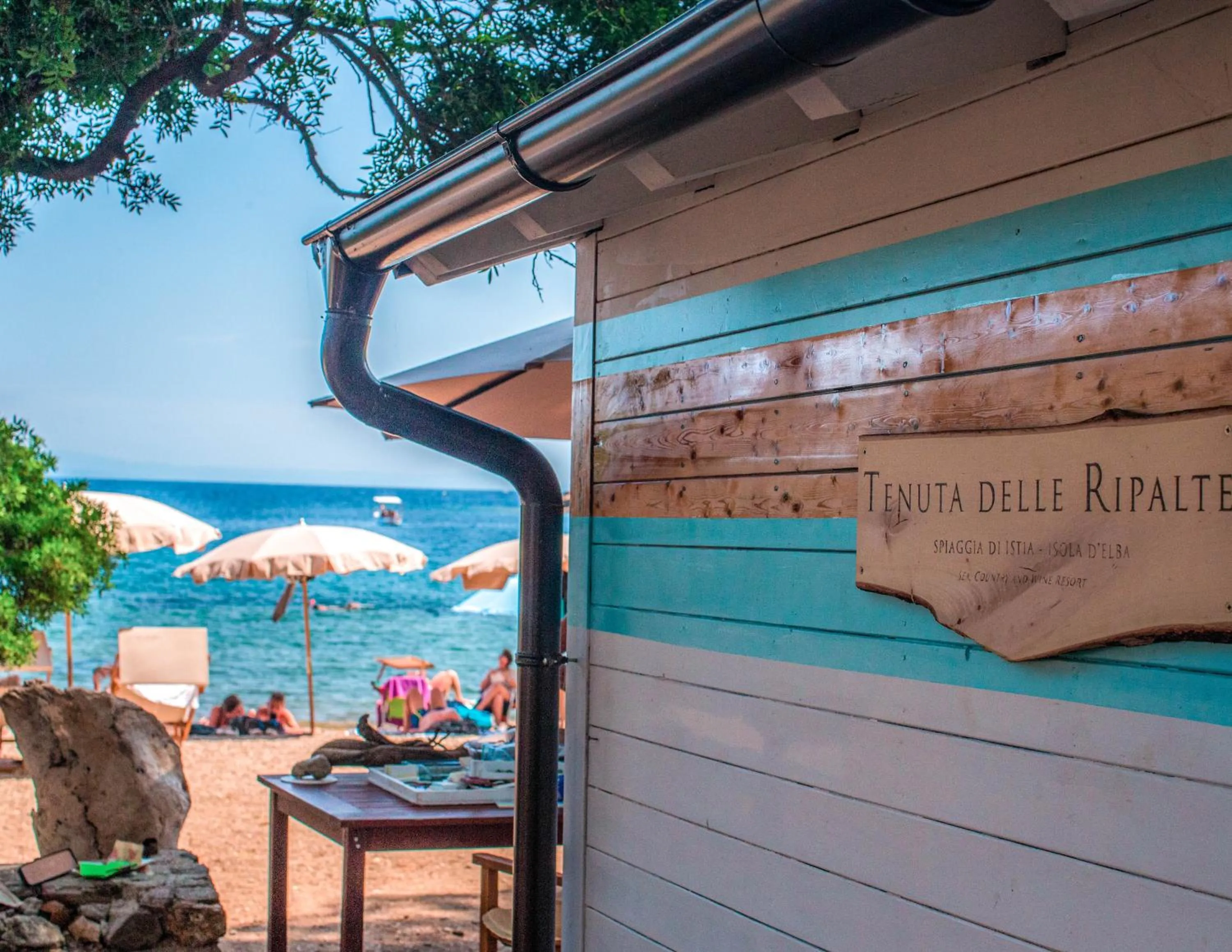 Tenuta Delle Ripalte