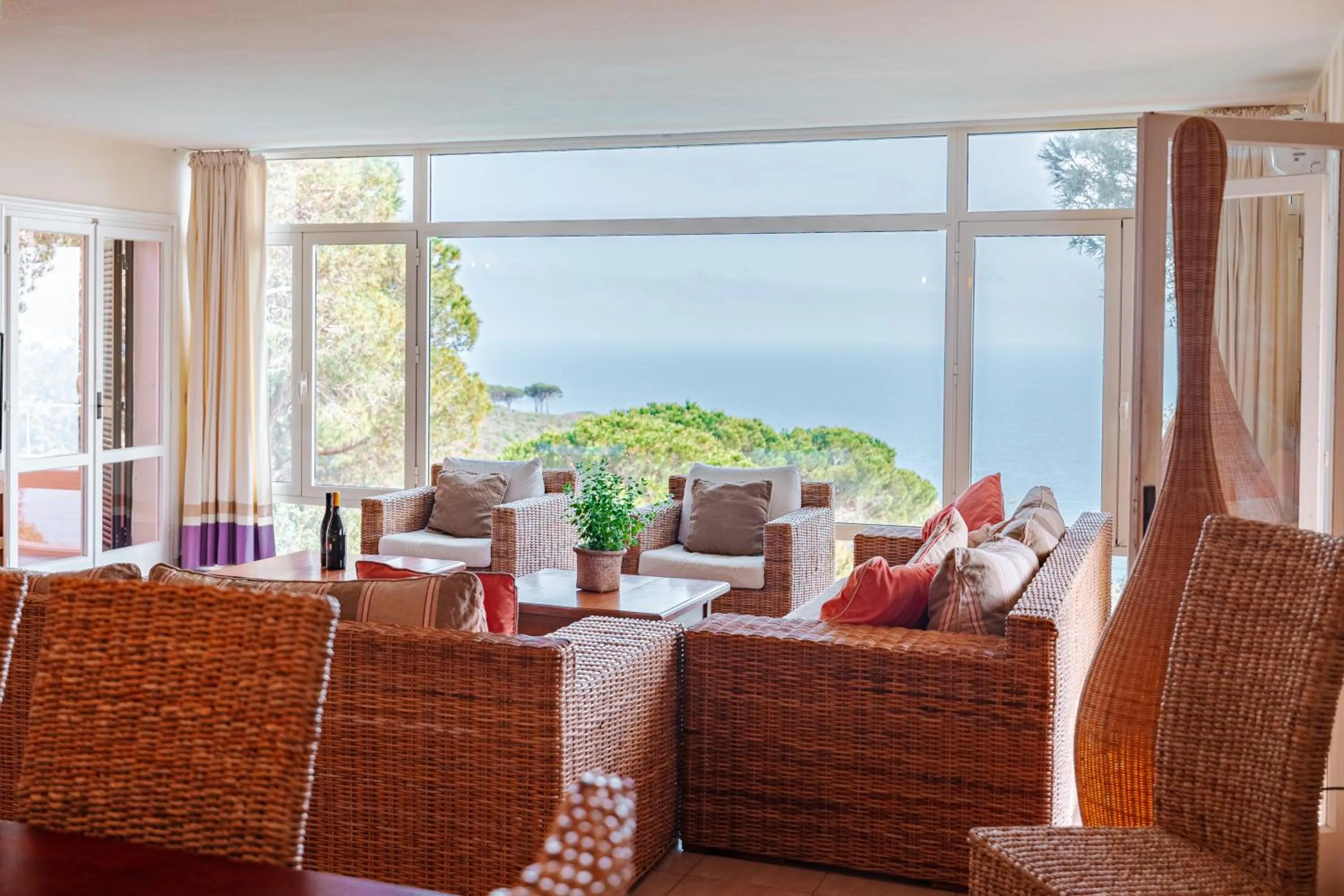 Tenuta Delle Ripalte