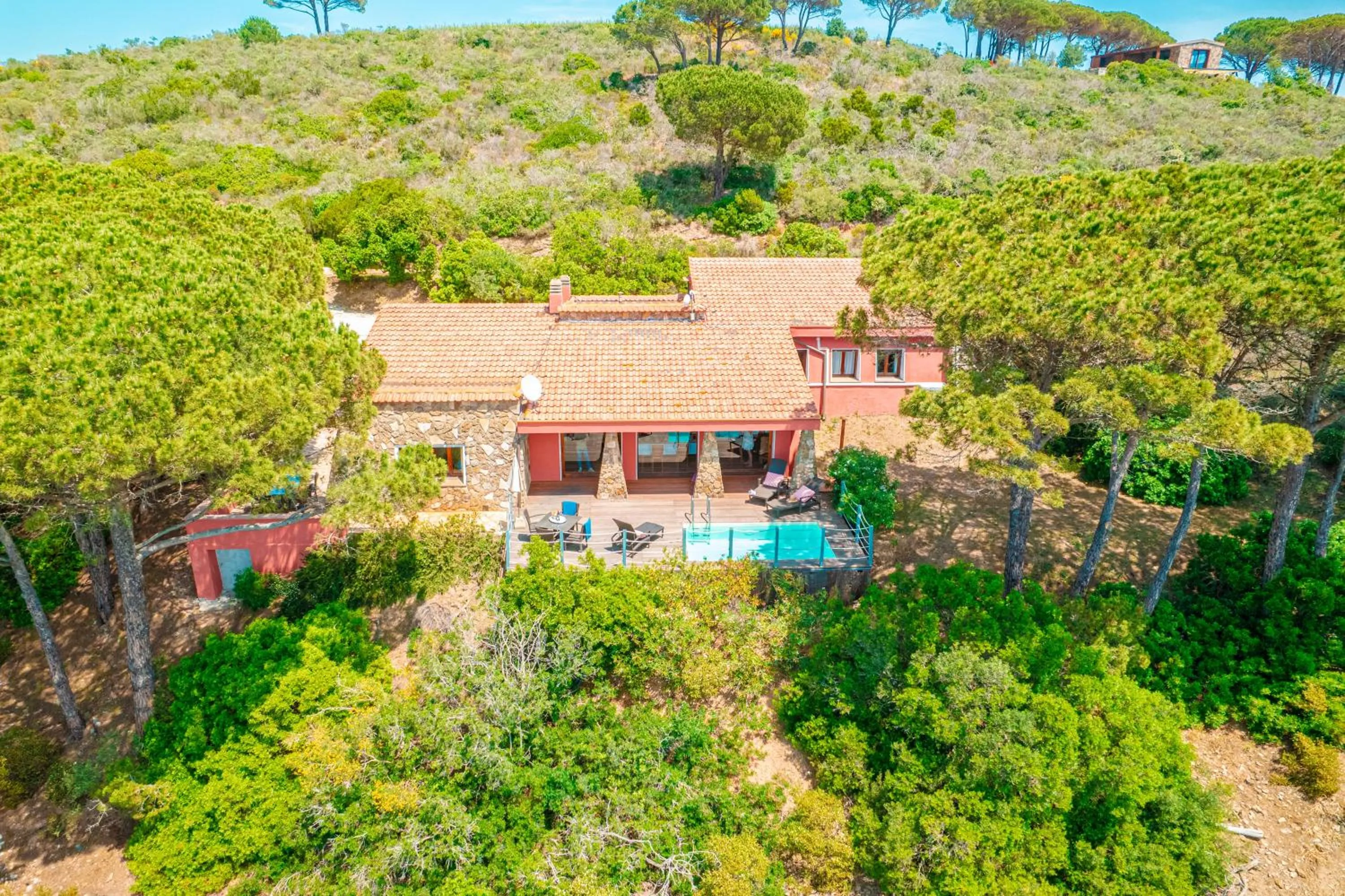 Tenuta Delle Ripalte