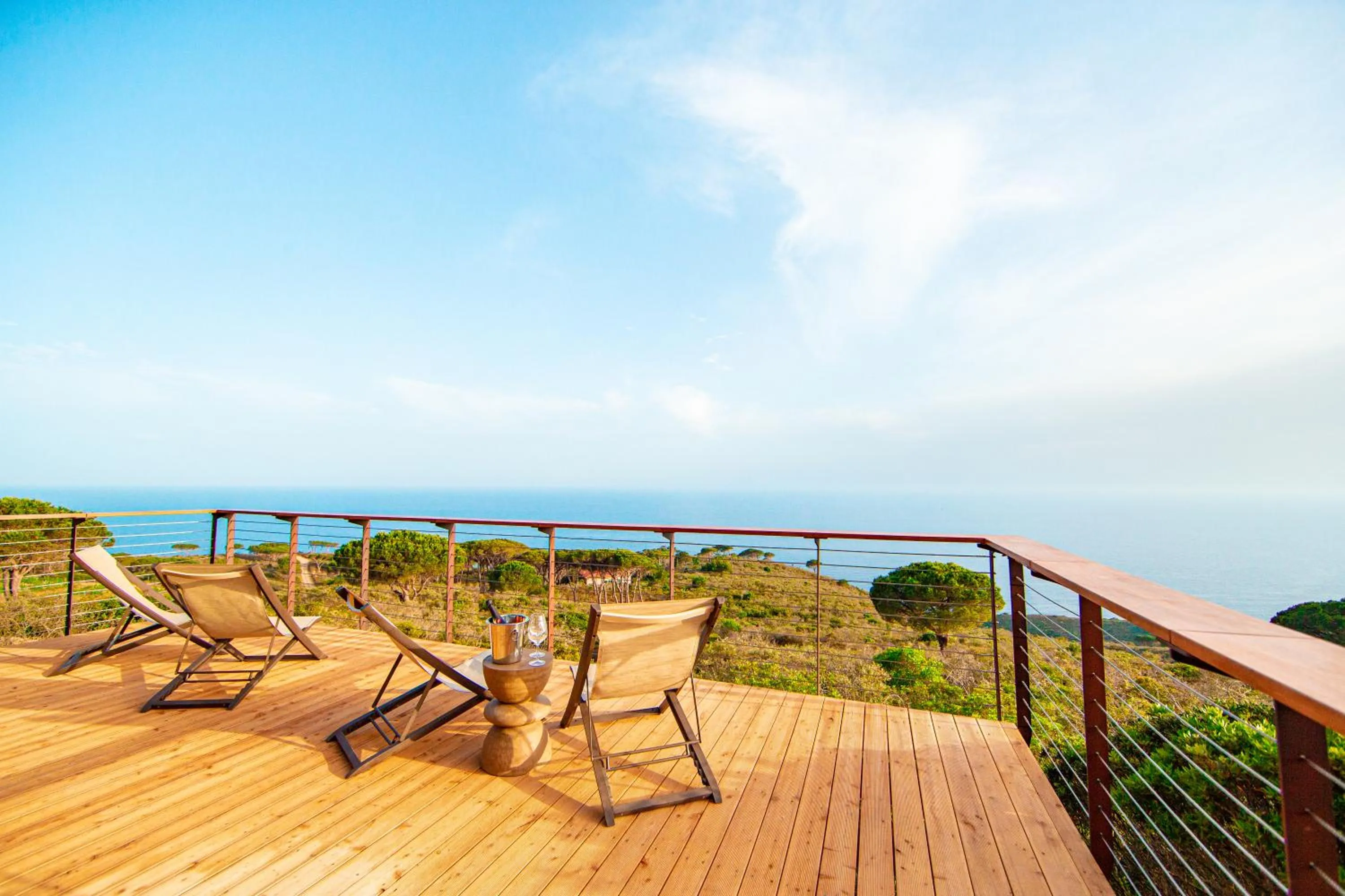 Tenuta Delle Ripalte