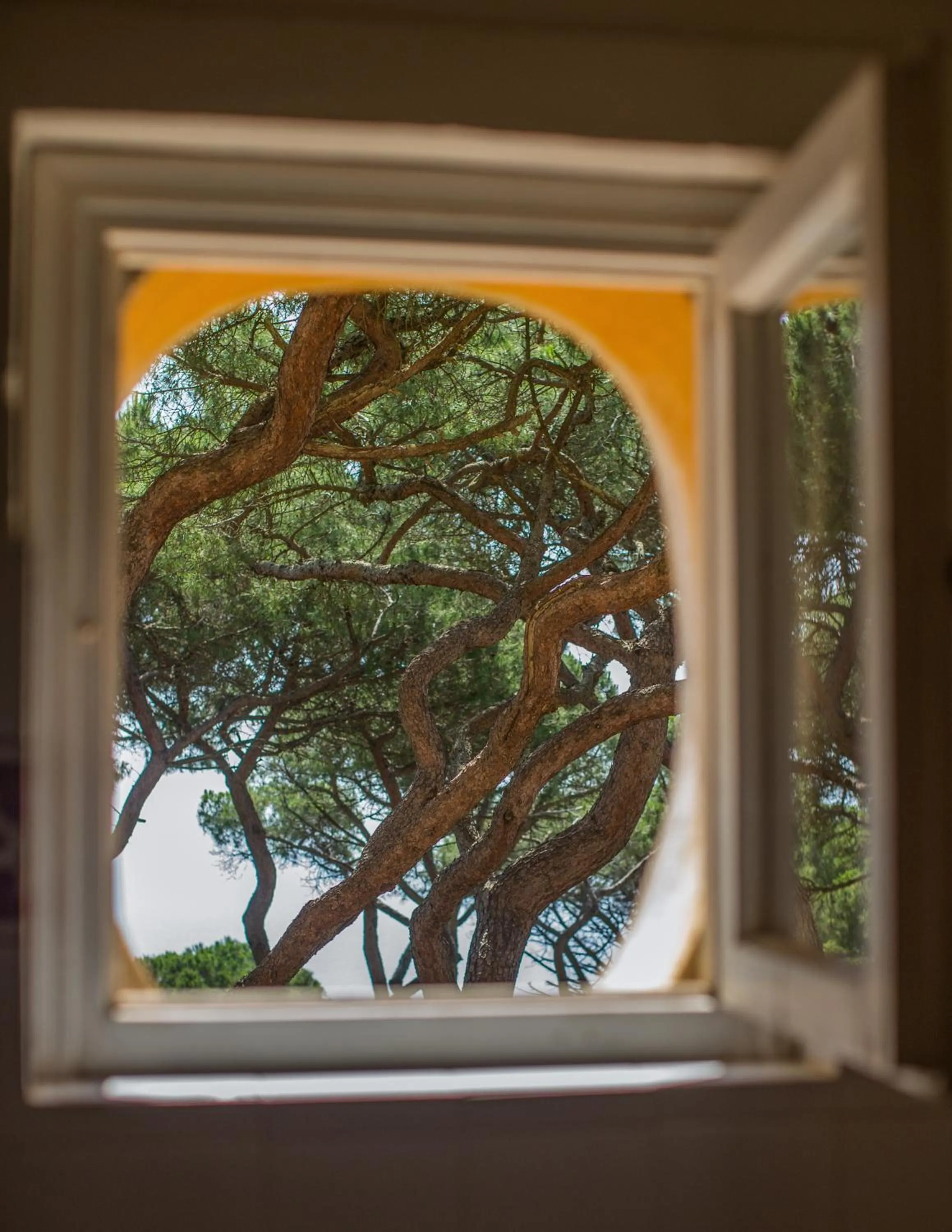 Tenuta Delle Ripalte