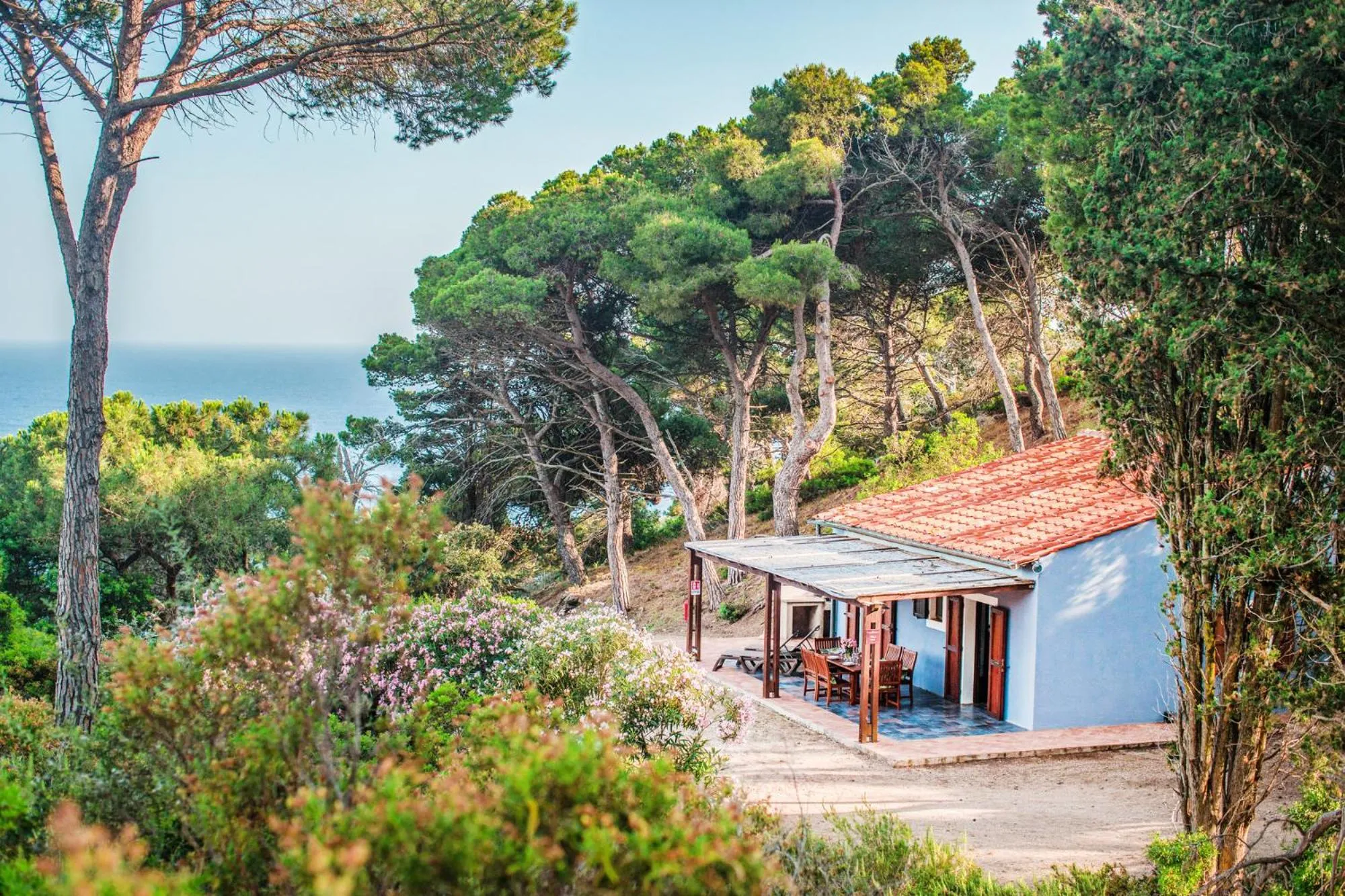 Tenuta Delle Ripalte