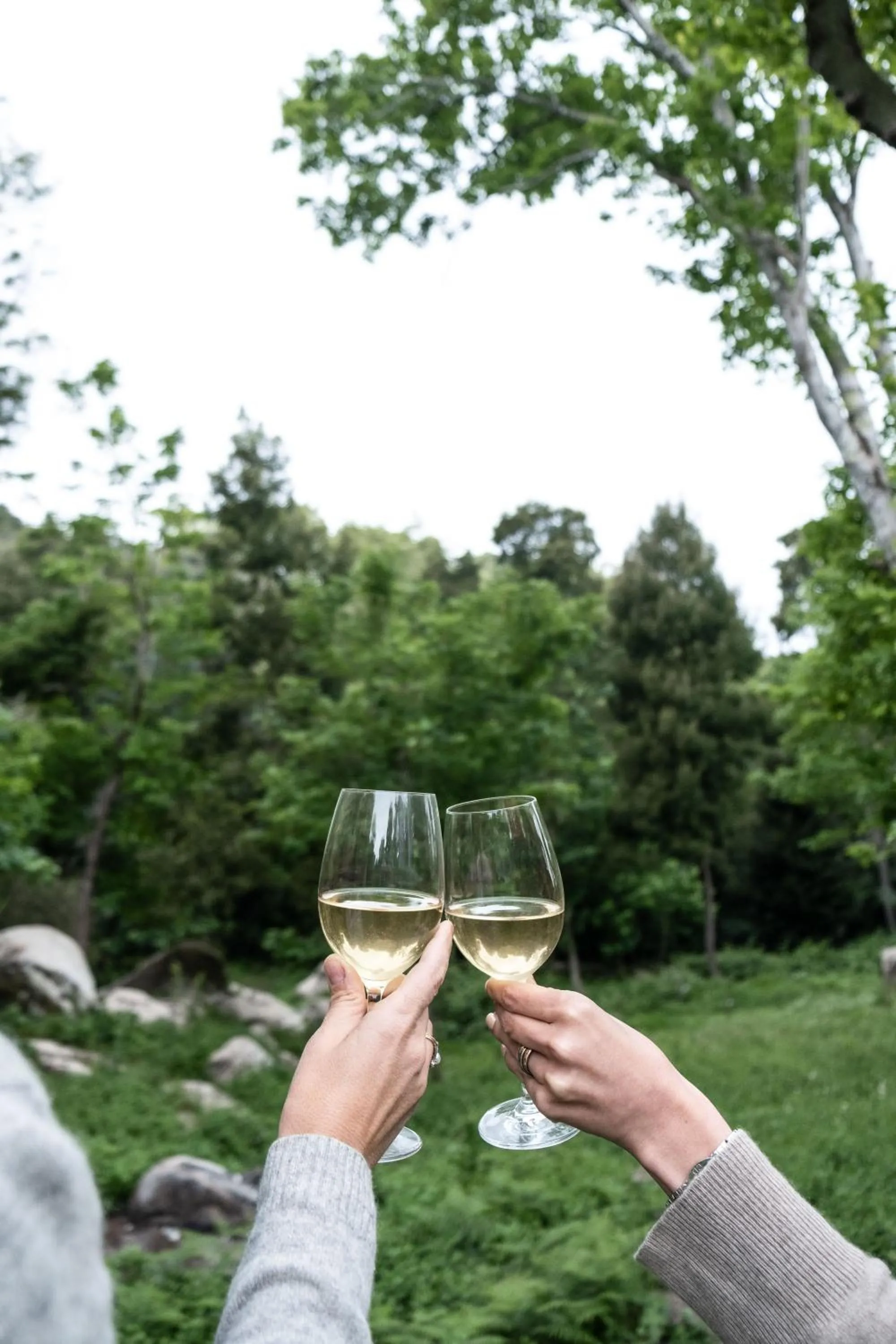 Garden in Eighteen21 Houses - Quinta Velha